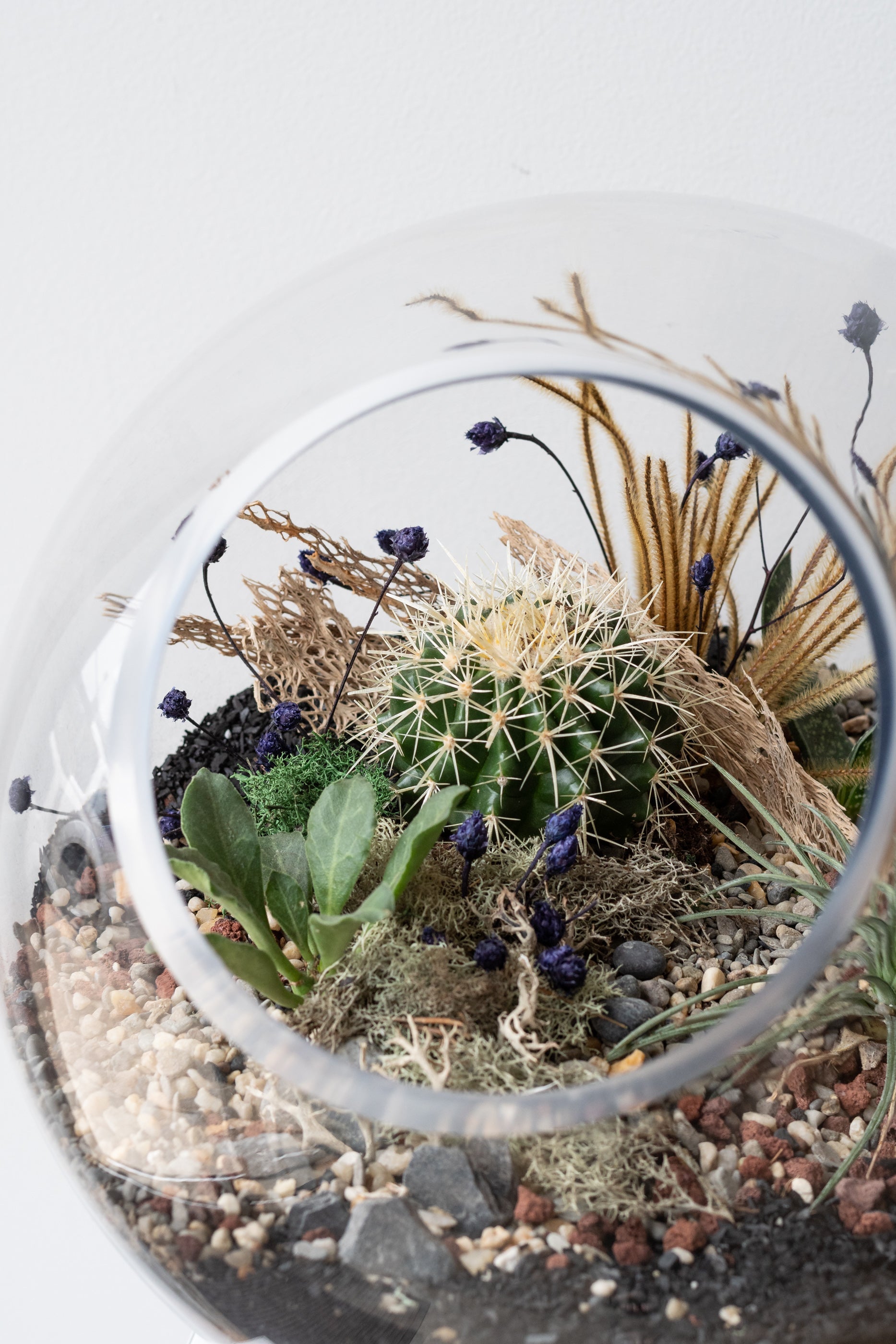 Pcool planted desert terrarium with preserved floral at Sprout Home. www. sprout home.com