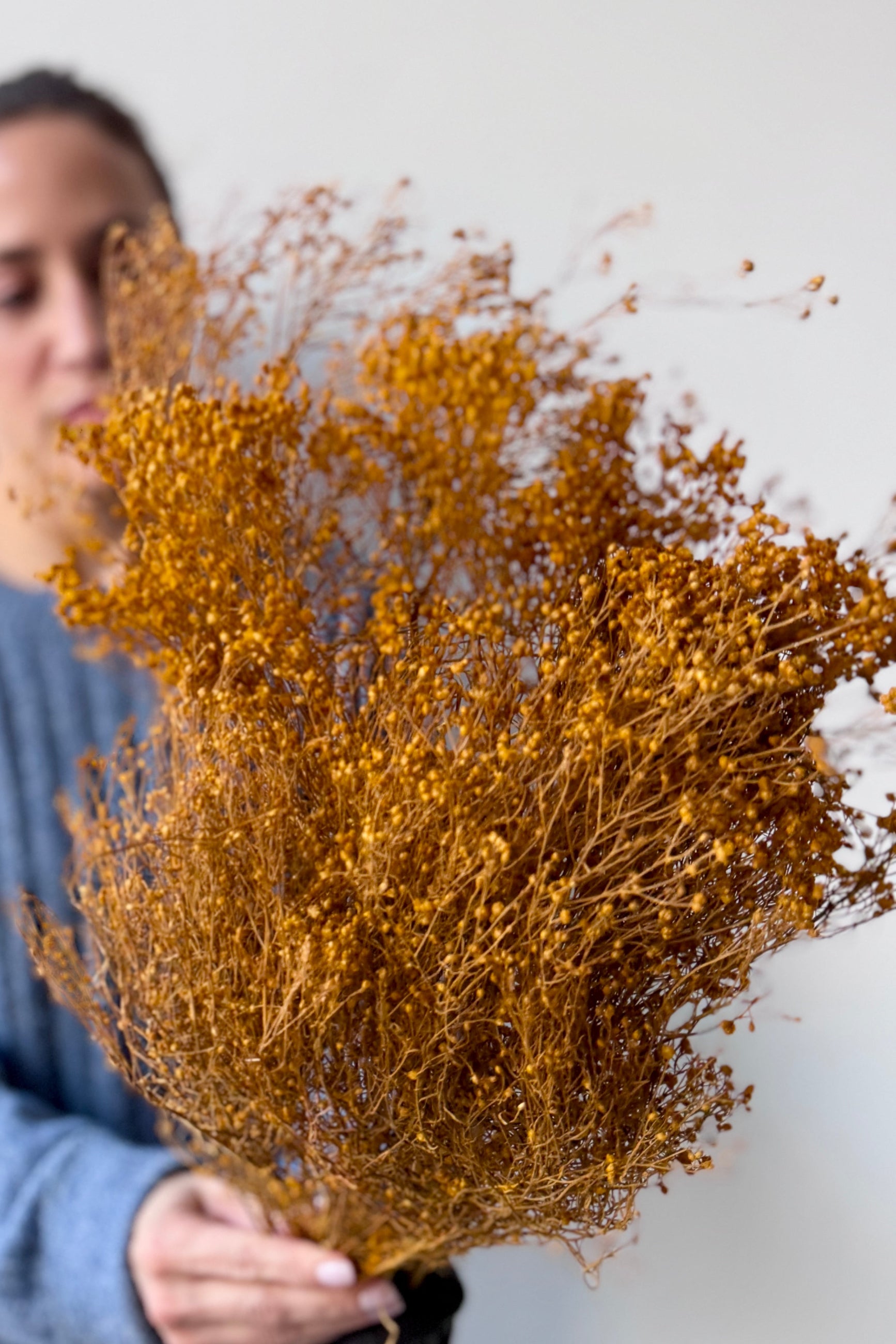 Person holding a Brooms Ochre Color Preserved Bunch against a white background ©Sprout Home
