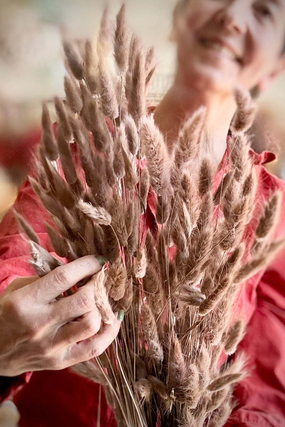 Person holding a Lagurus Sepia Pastel Preserved Bunch with a blurred background Sprout Home