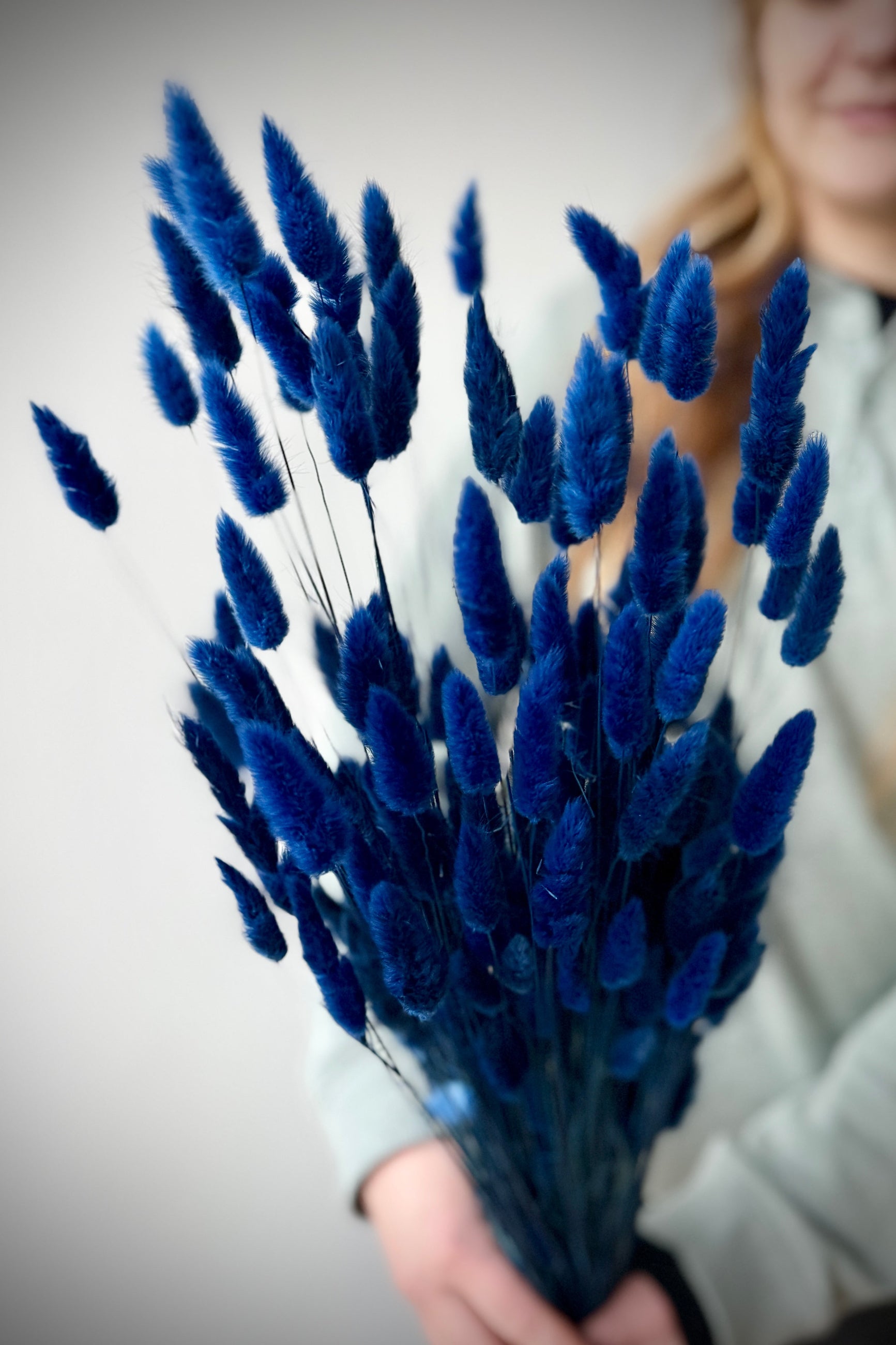 Bouquet of blue bunny tails held by a person against a neutral background ©Sprout Home