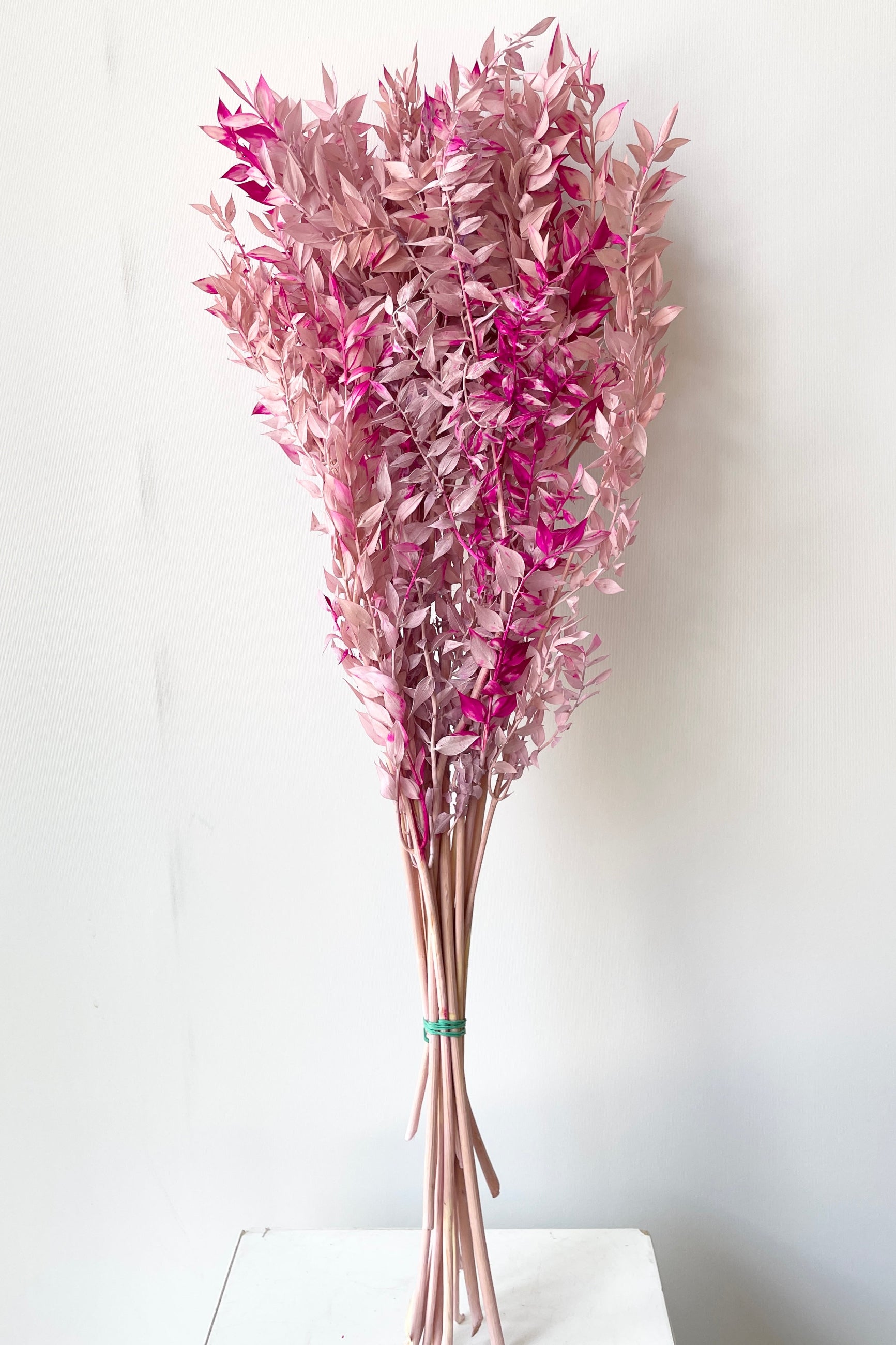 A bunch of Lavender & Pink tinted preserved Ruscus ©Sprout Home