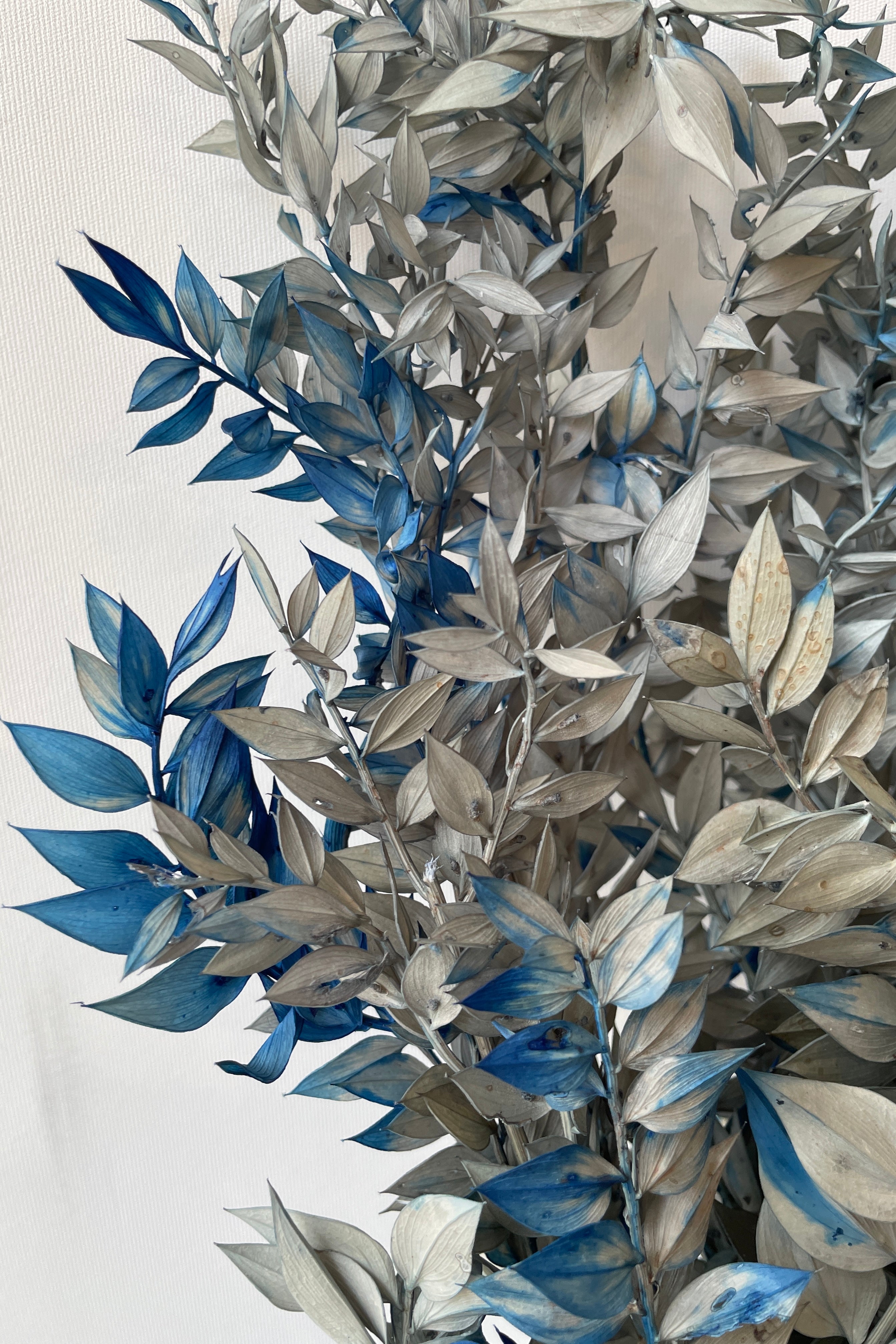 Close up image of the Gray and blue tinted preserved Ruscus at Sprout Home.