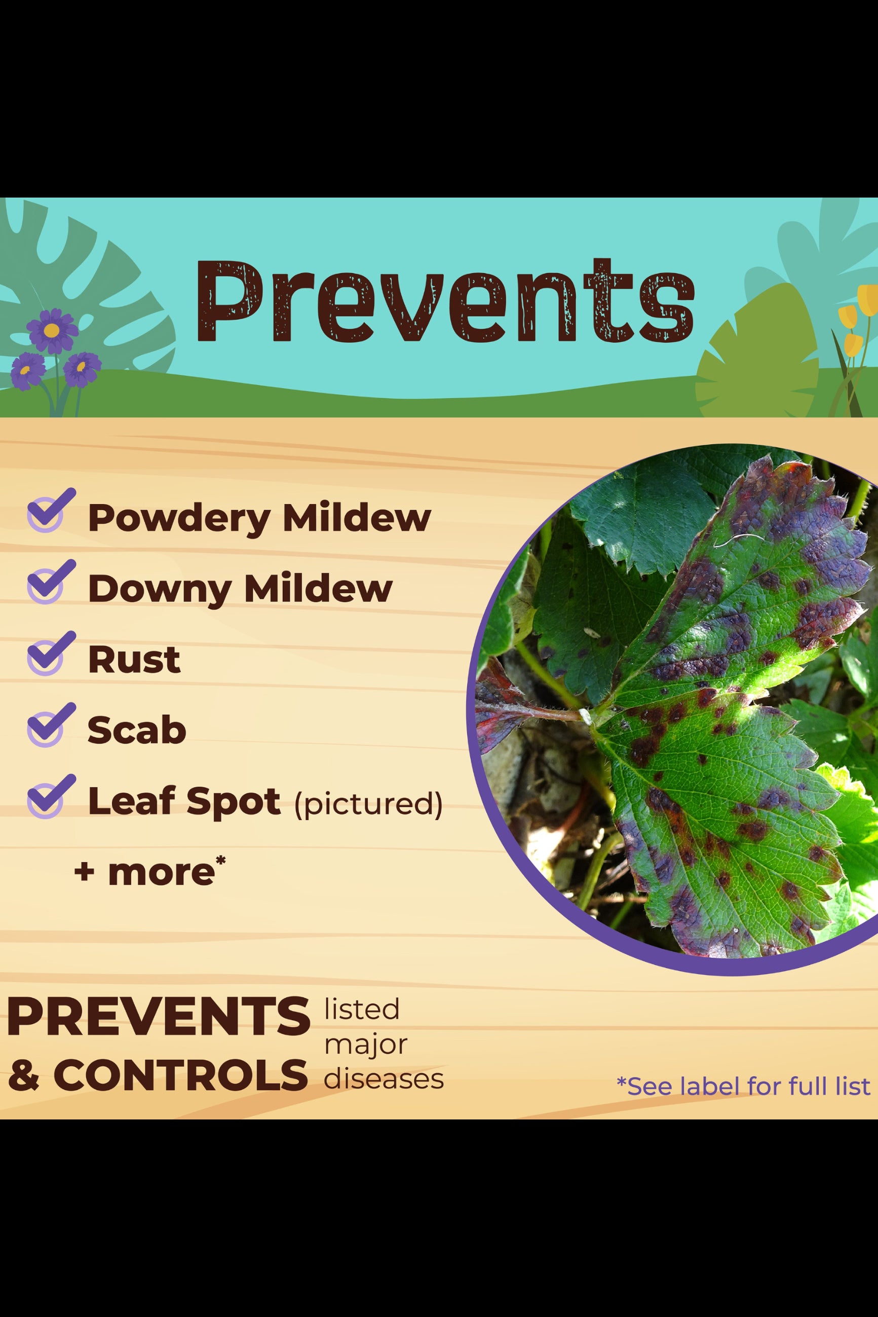 Prevents poster from BOnide ©Bonide