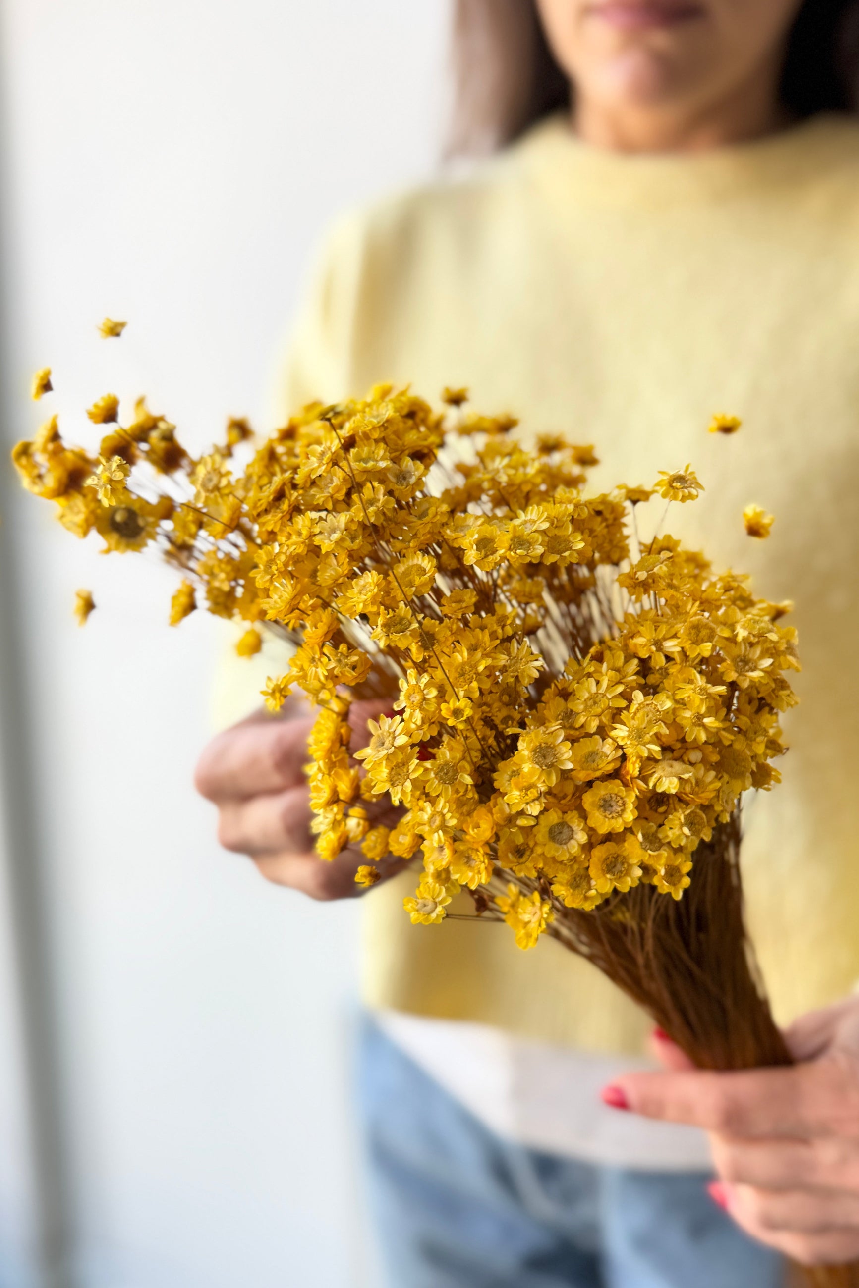 Person holding a bunch of yellow preserved Glixia flowers against a neutral background ©Sprout Home
