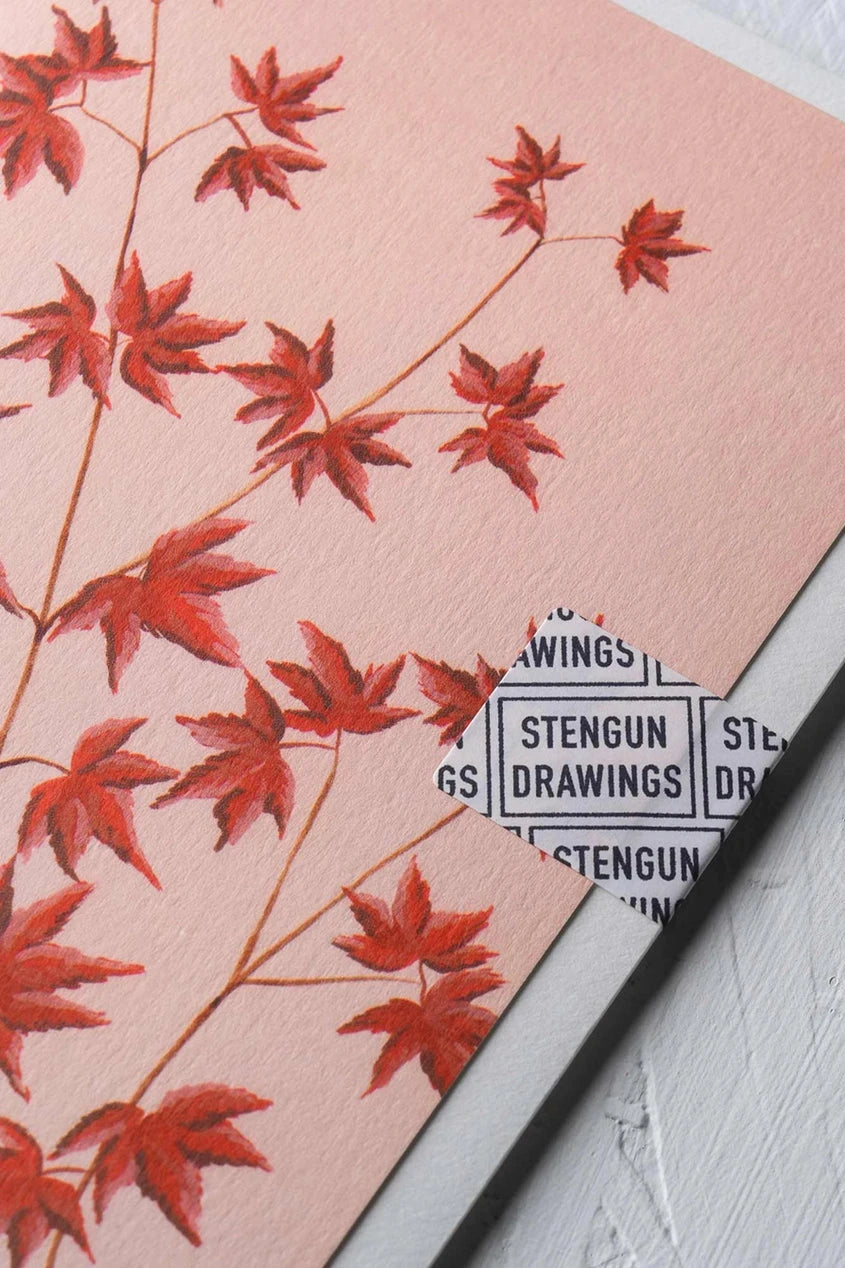 Stengun Drawings Acer card shown up close corner with the stengun drawings closure.