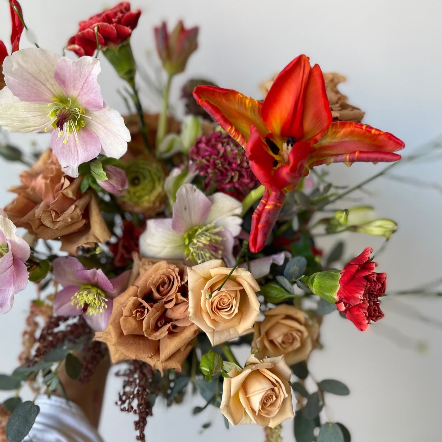 Bouquet of flowers with red, pink, and beige colors on a white background ©Sprout Home