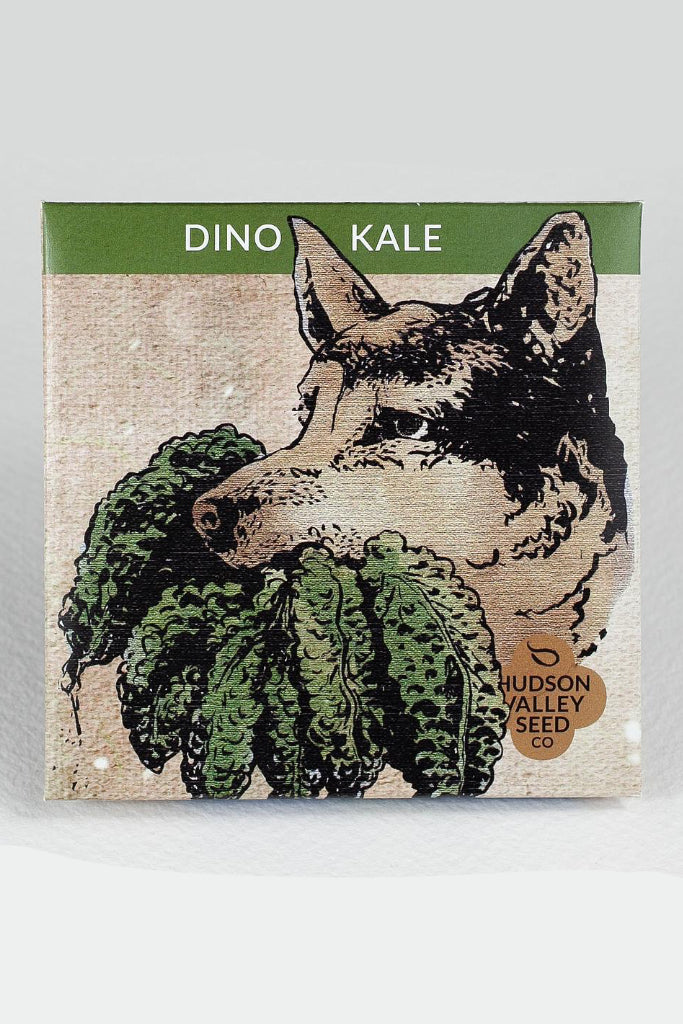Seeds packet for 'Dino Kale' with a donkey illustration and Hudson Valley Seed Co. branding. ©Hudson Valley seed Co.