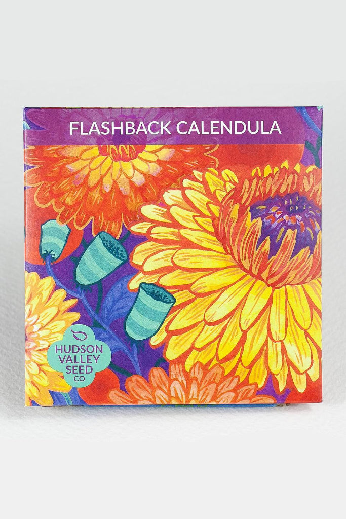 Colorful packaging of Flashback Calendula with Hudson Valley Seed Co logo on a white background ©Hudson Valley Seed Co.