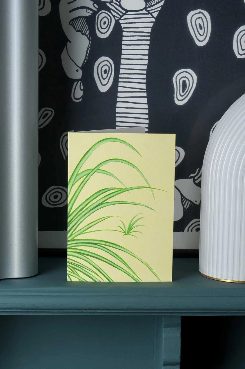 Spider Plant card by Stengun Drawings sitting on a teal ledge in a lifestyle shot.