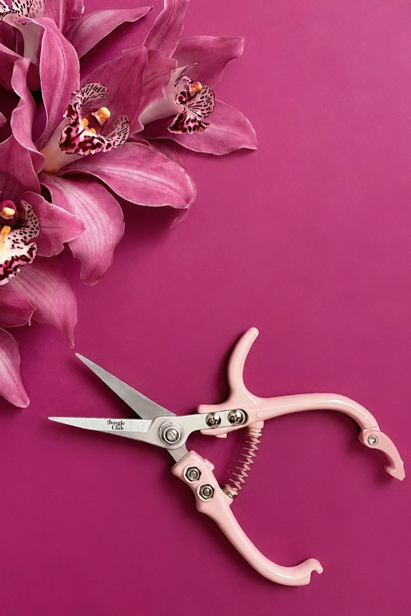 Vanilla off-white handled pruning shears on a mauve background with orchid flowers ©Jungle Club