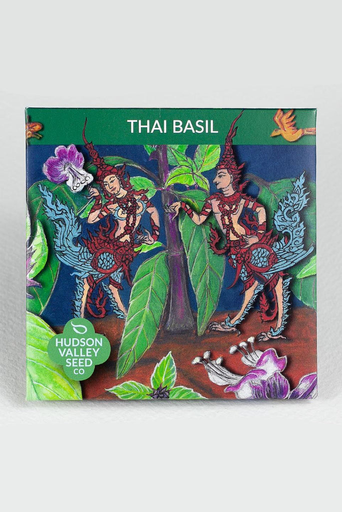 Thai Basil seed packet with colorful illustration and Hudson Valley Seed Co. branding ©Hudson Valley Seed Co.