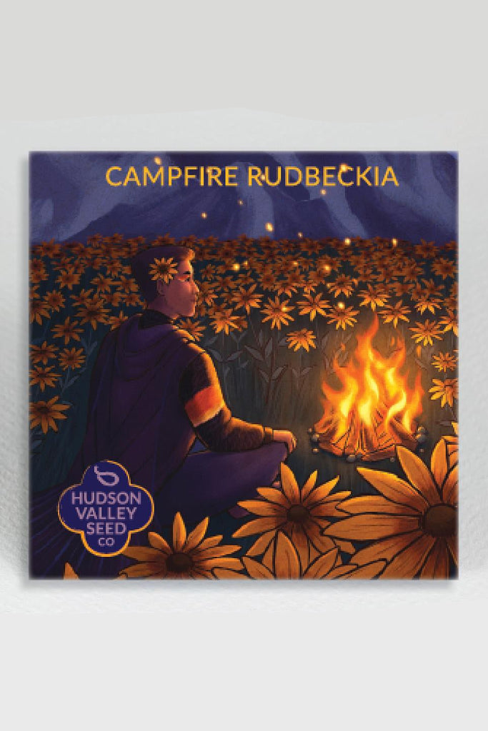 Campfire rudbeckia Seed packet design with a person by a campfire and sunflowers, featuring Hudson Valley Seed Co. ©Hudson Valley Seed Co.