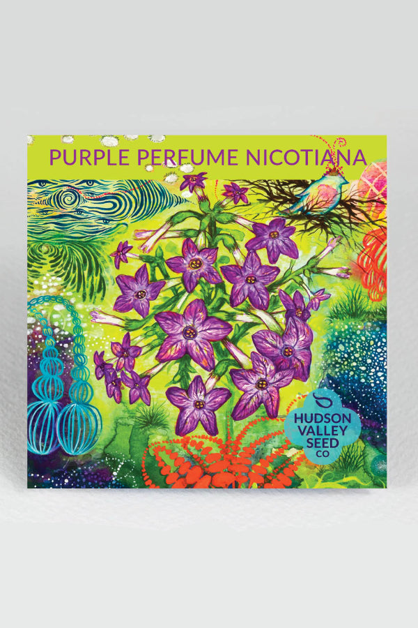 Seed packet for 'Purple Perfume Nicotiana' with colorful floral design and Hudson Valley Seed Co. branding. ©Hudson Valley Seed Co.
