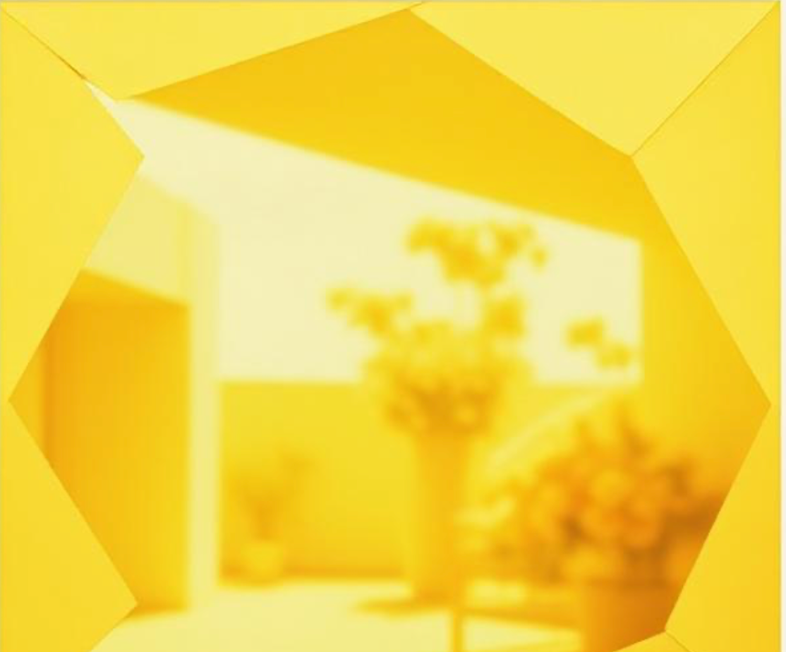 Geometric yellow pattern with a blurred indoor scene in the background ©Sprout Home