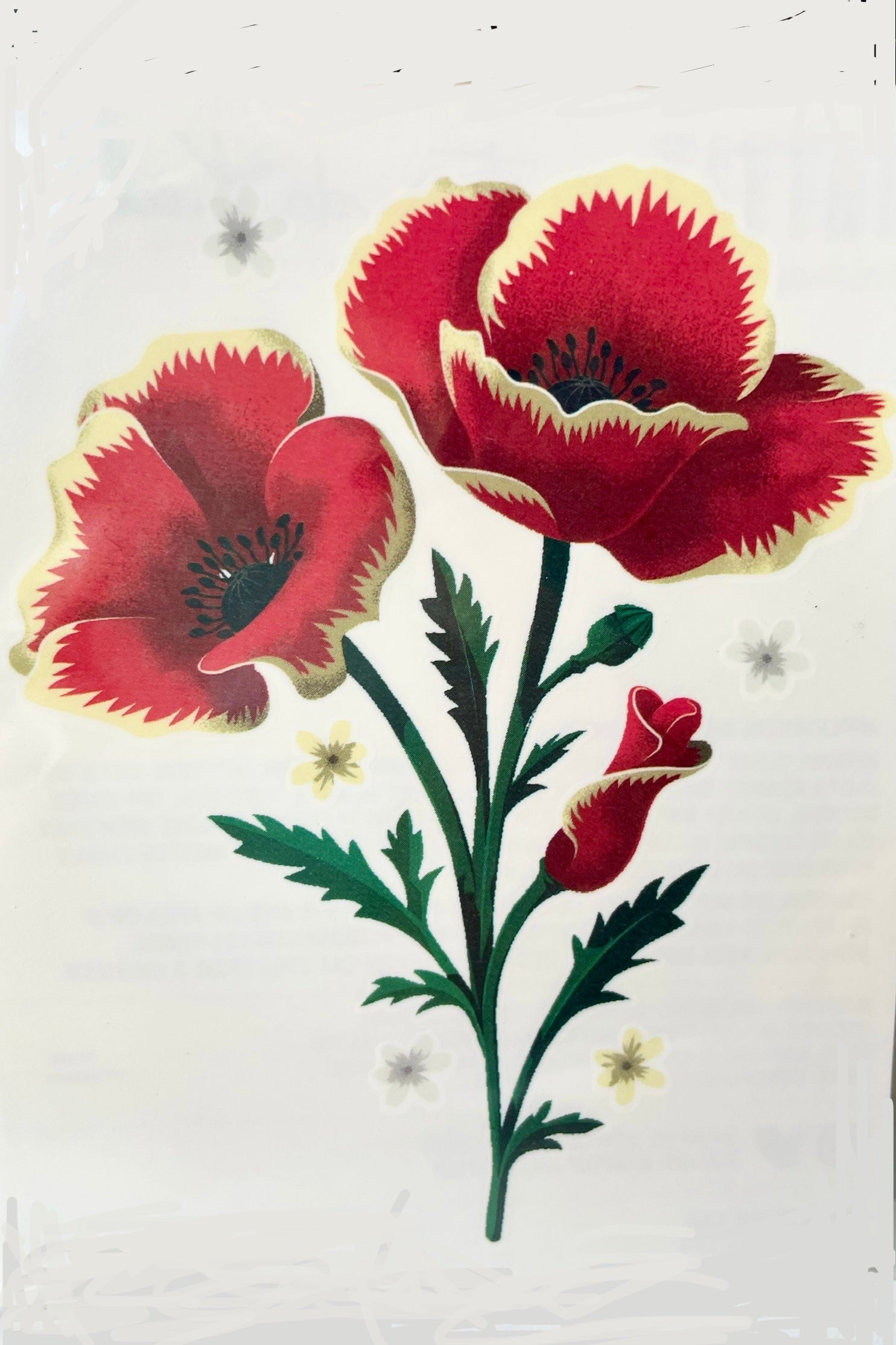 Red poppies tattoo against a white background.