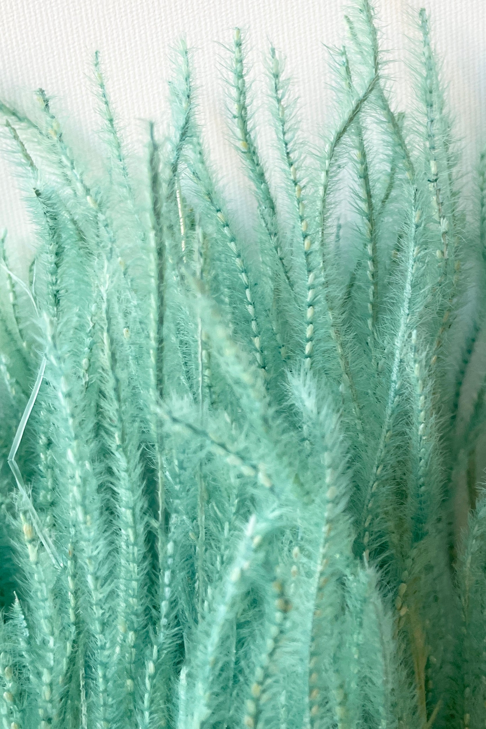 teal colored preserved Ouro up close showing the detail.