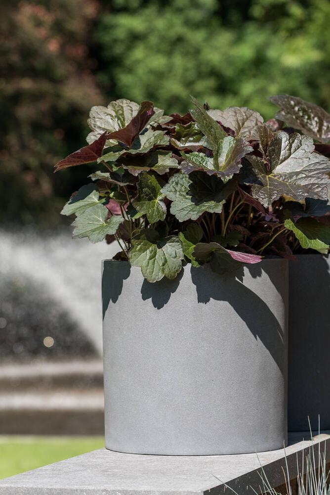 Pottery Pots Grey Max Pot potted with Heuchera plants and sitting on a ledge in an landscape.