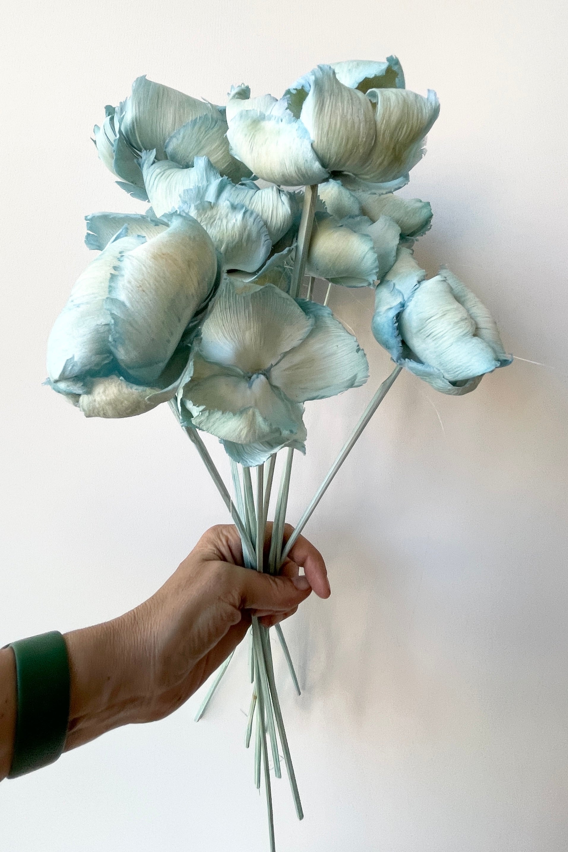 Palm cap bunch in a gray blue shade being held in hand against a white wall.