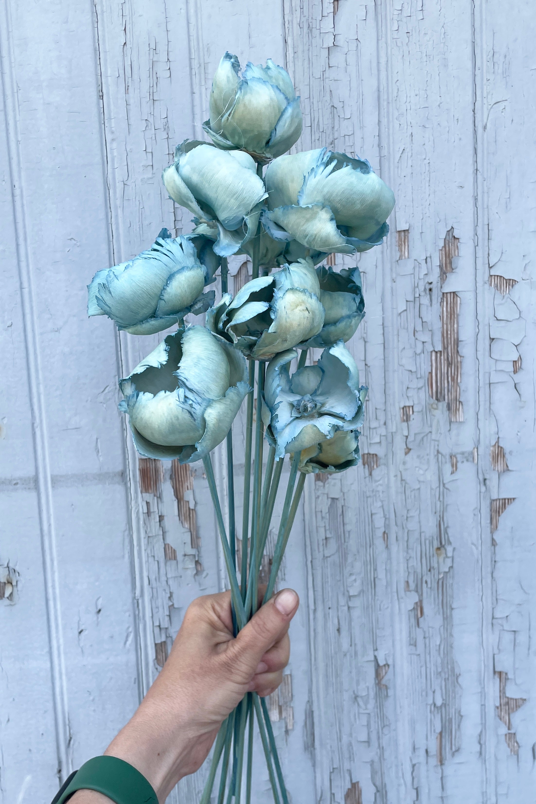 Palm cap bunch in a baby blue color being held against a gray wood wall.