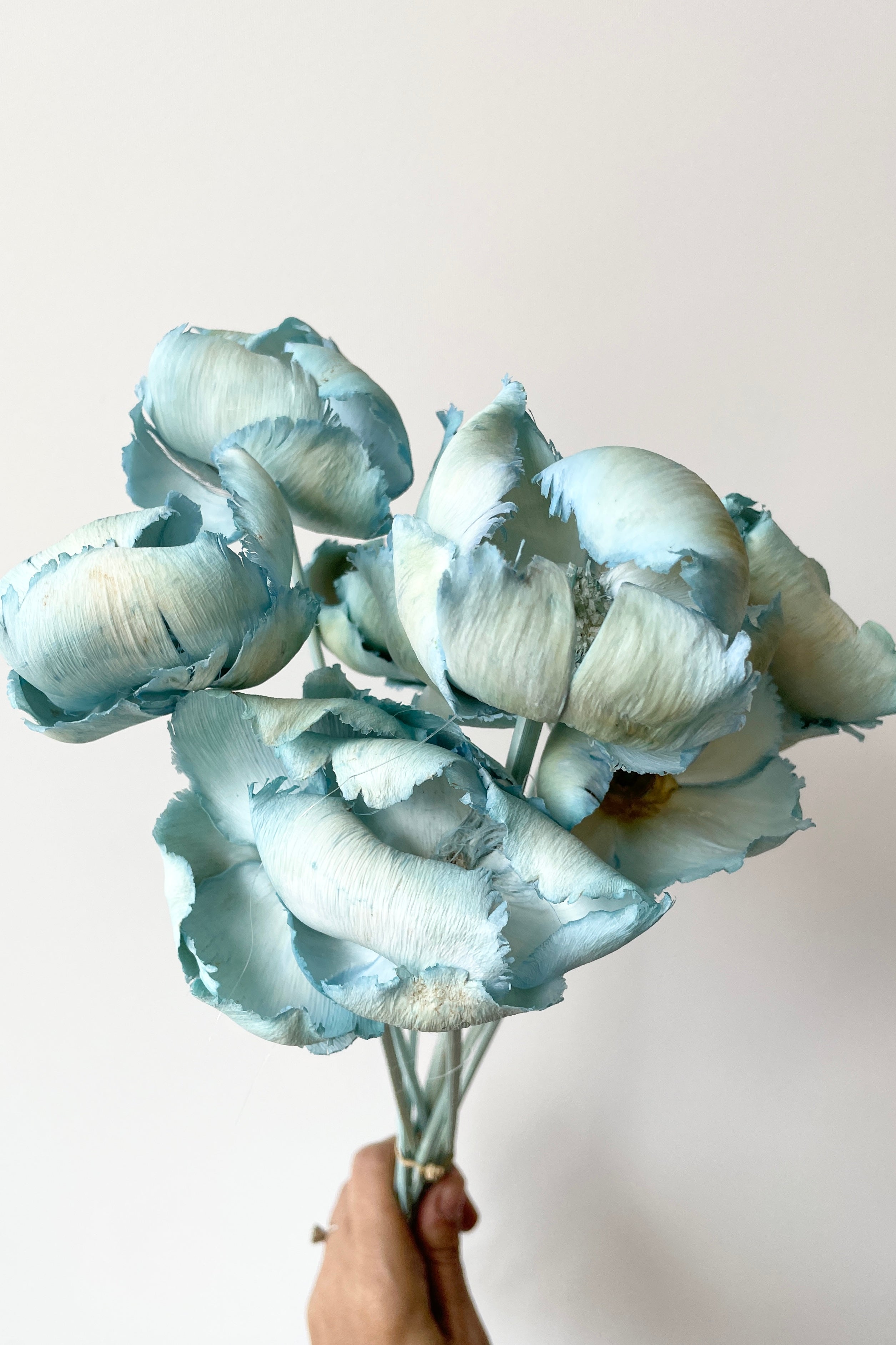 Baby Blue pastel preserved Palm Cap bunch up close.