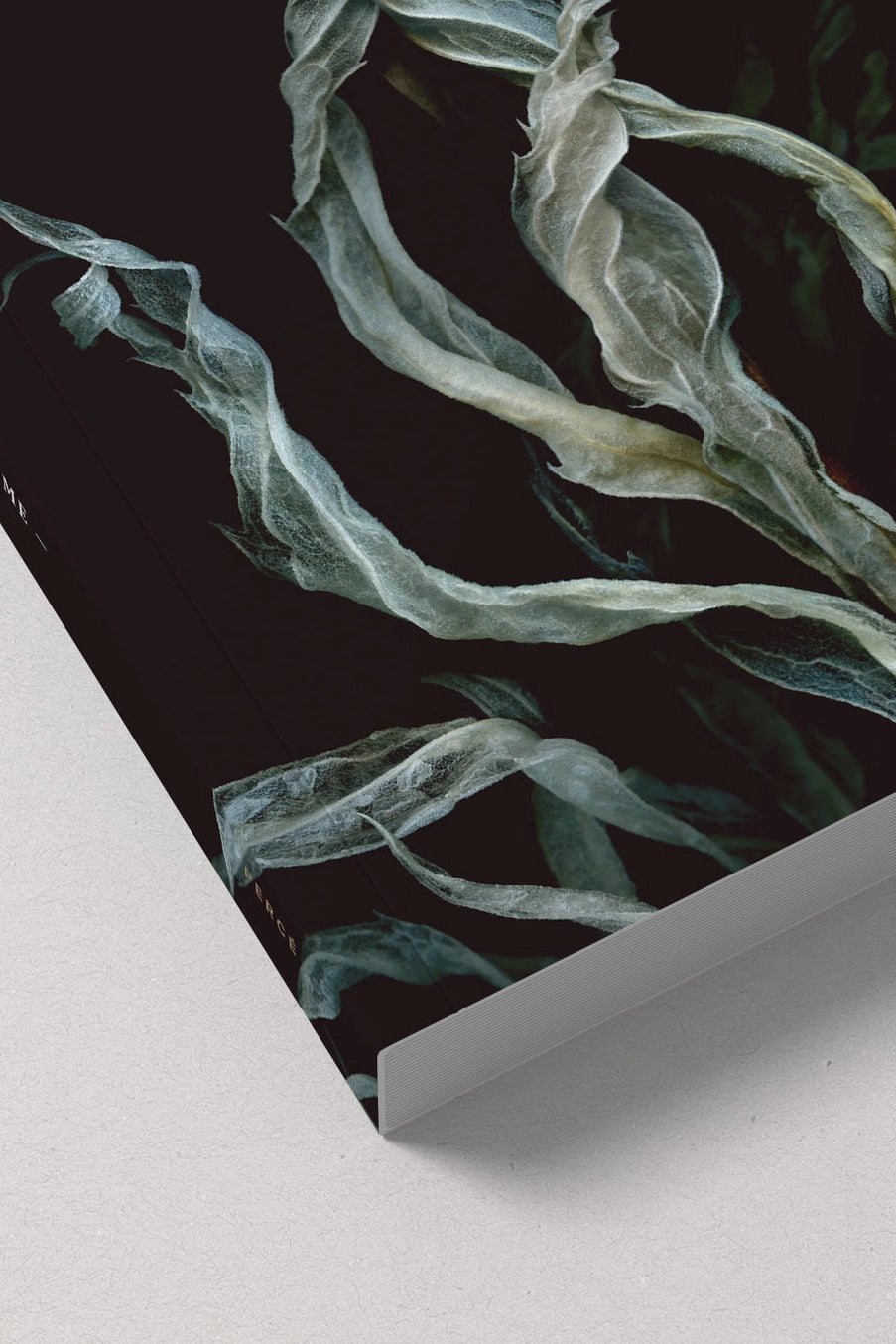 Framed artwork of green leaves on a black background ©Raoul & Simone