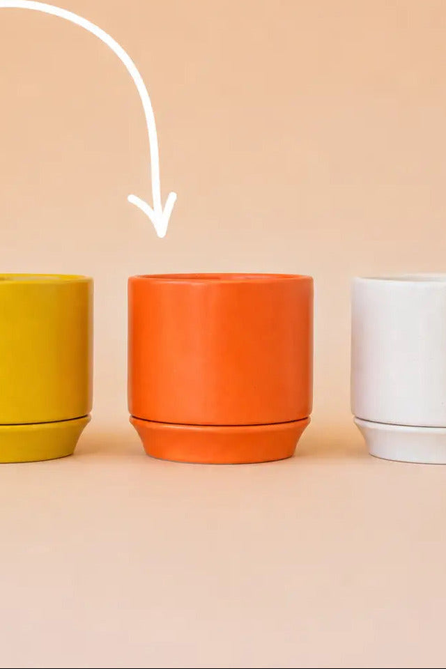 Three matte ceramic Parker plant pots in yellow, orange, and white, arranged on a warm peach background. A white curved arrow points to the center orange pot, with the text 'NOW WITH TRIVET' above it. ©Jungle Club