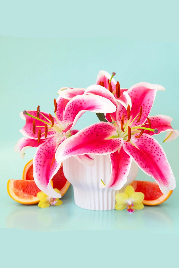 Pink lilies in a white Presley vase with orange slices on a light blue background ©Jungle Club