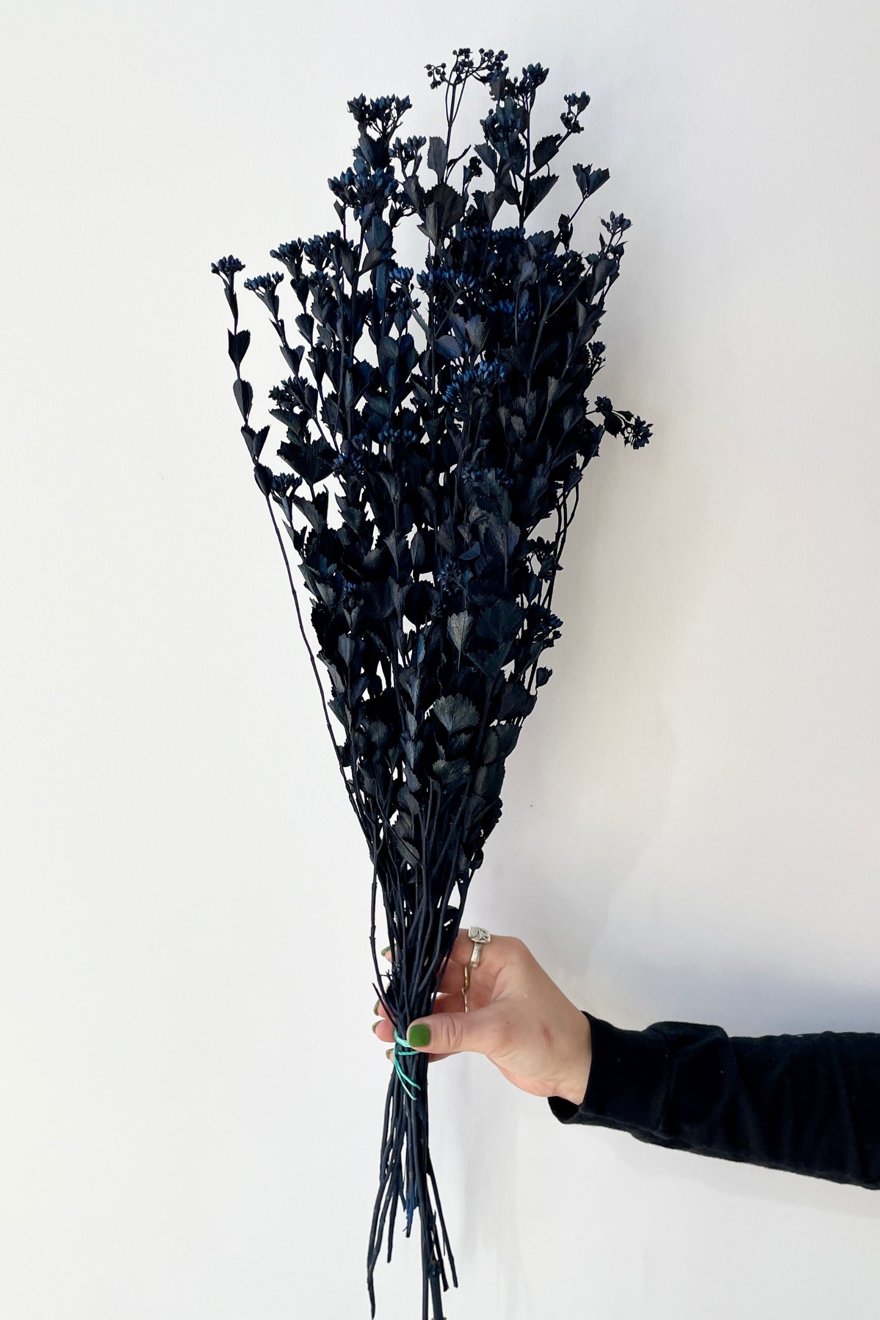 Blue preserved Chuvisco bunch at SPROUT HOME ©Sprout Home