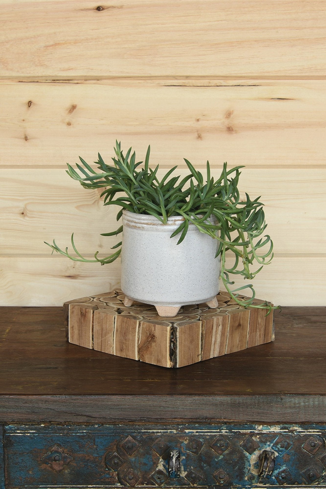 Sur Cachepot white by Homart with a succulent potted inside on top of a wood stand.