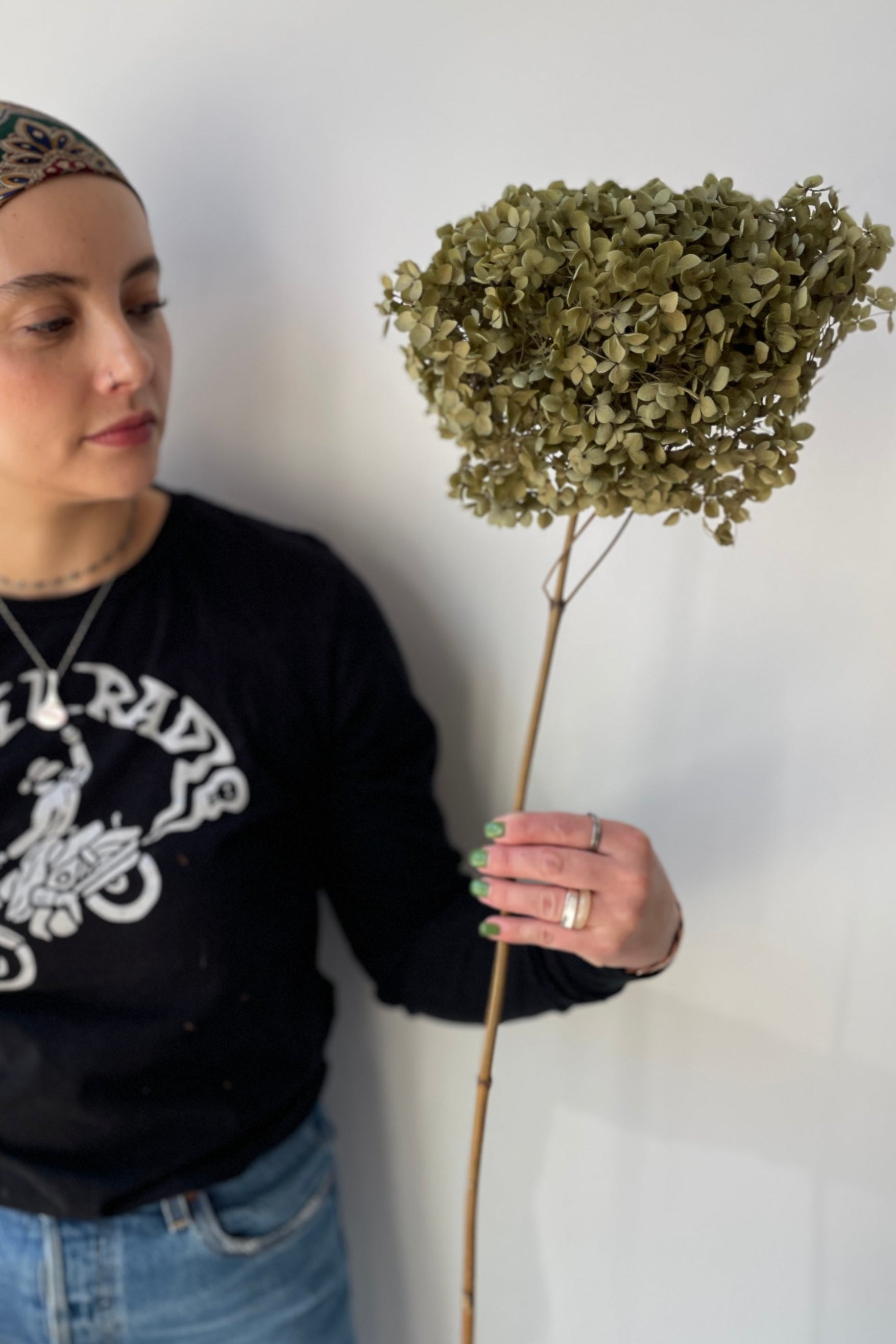 Hydrangea preserved stem being held by a Sprout Home staff member