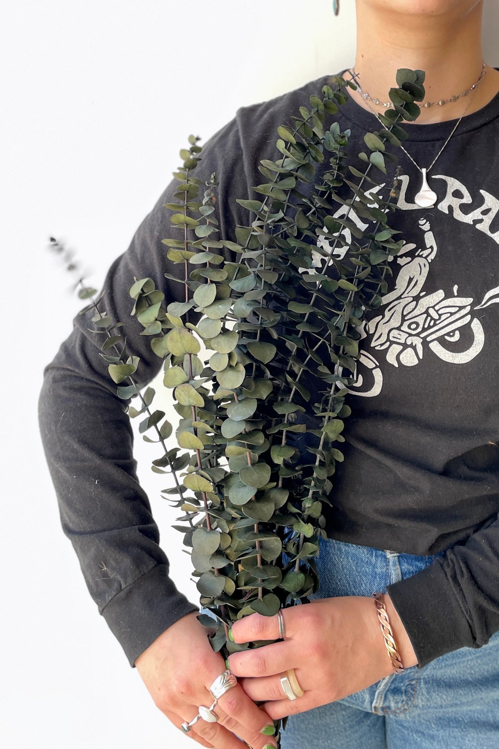 Baby natural Eucalyptus preserved and being held in hand at SPROUT HOME ©Sprout Home