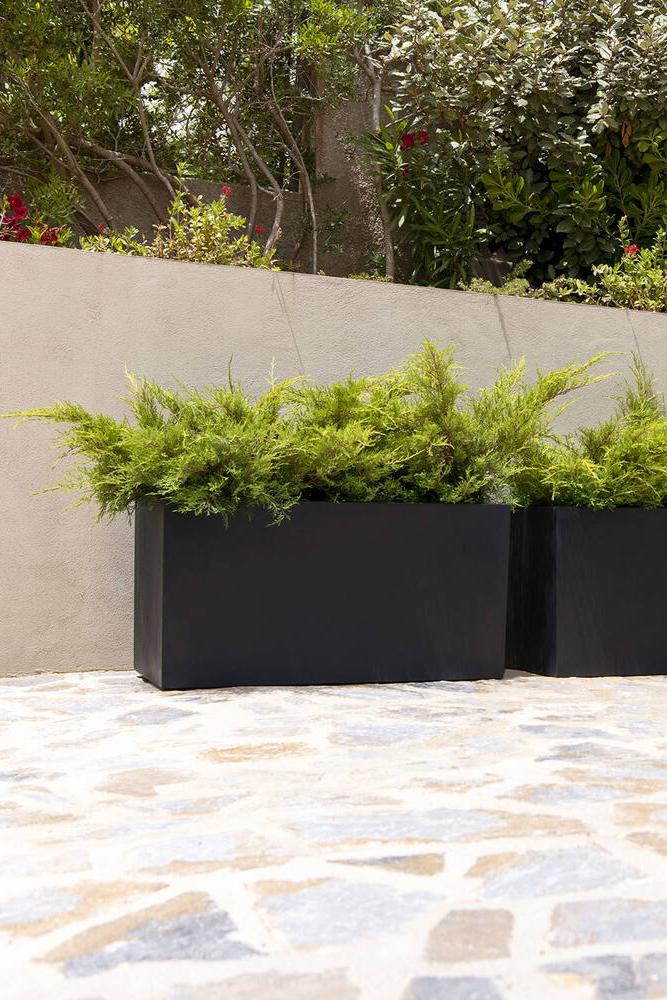 Jort Fiberstone Black Planter with everygreens planted in it against a beige outdoor wall.