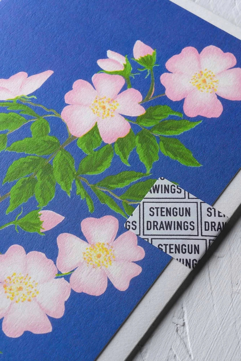 Dog rose greeting card by Stengun Drawings corner detail pink flowers blue background and closure