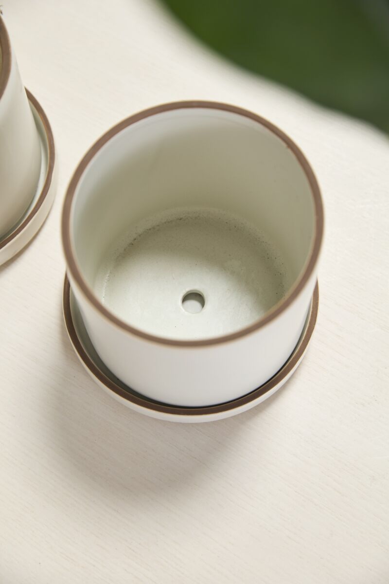 Close-up of a white Author ceramic pot with brown rim on a light surface. ©Accent Decor