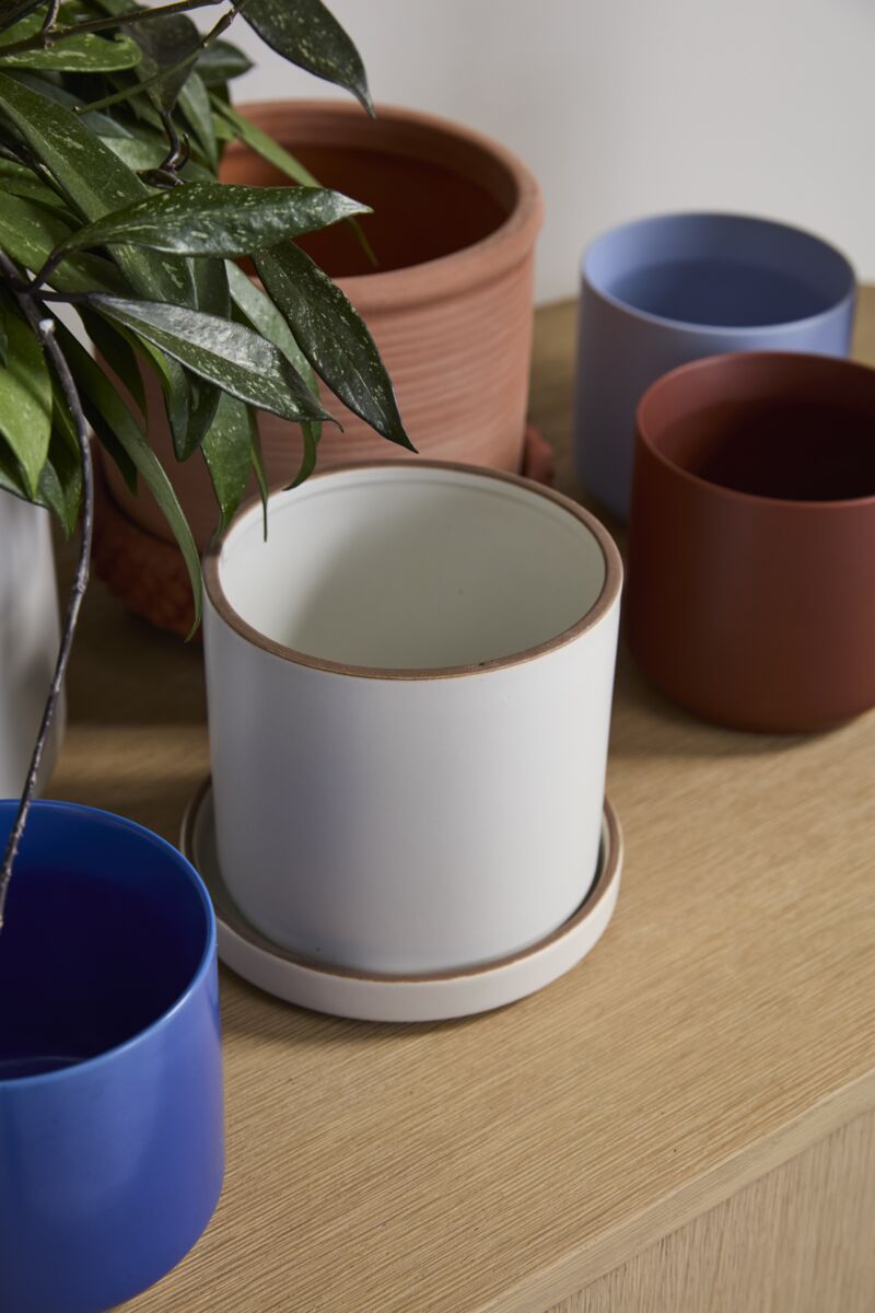 Collection of various colored plant pots on a wooden surface ©Accent Decor