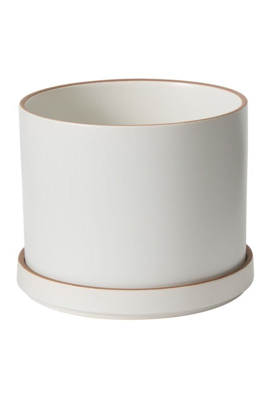 White ceramic Author planter with gold rim on a white background ©Accent Decor