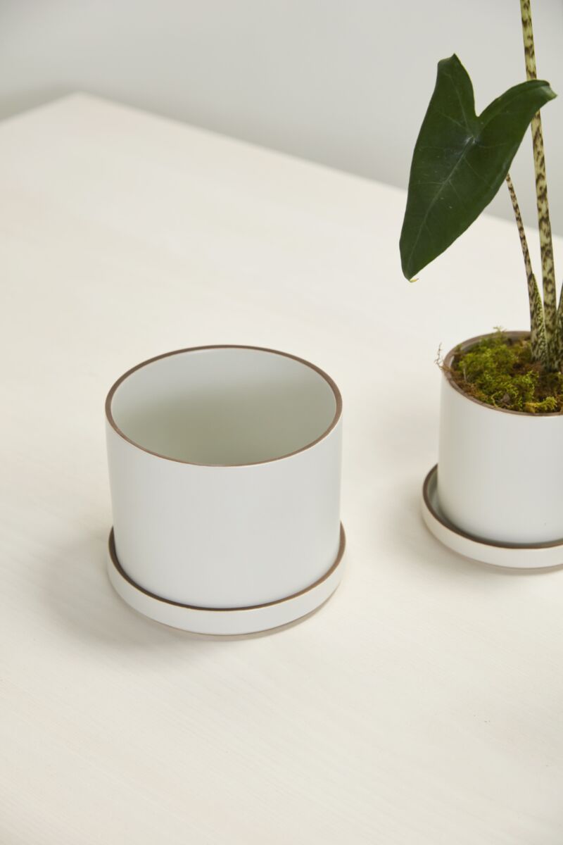 Two white ceramic Author planters on a light surface with one containing a small plant. ©Accent Decor