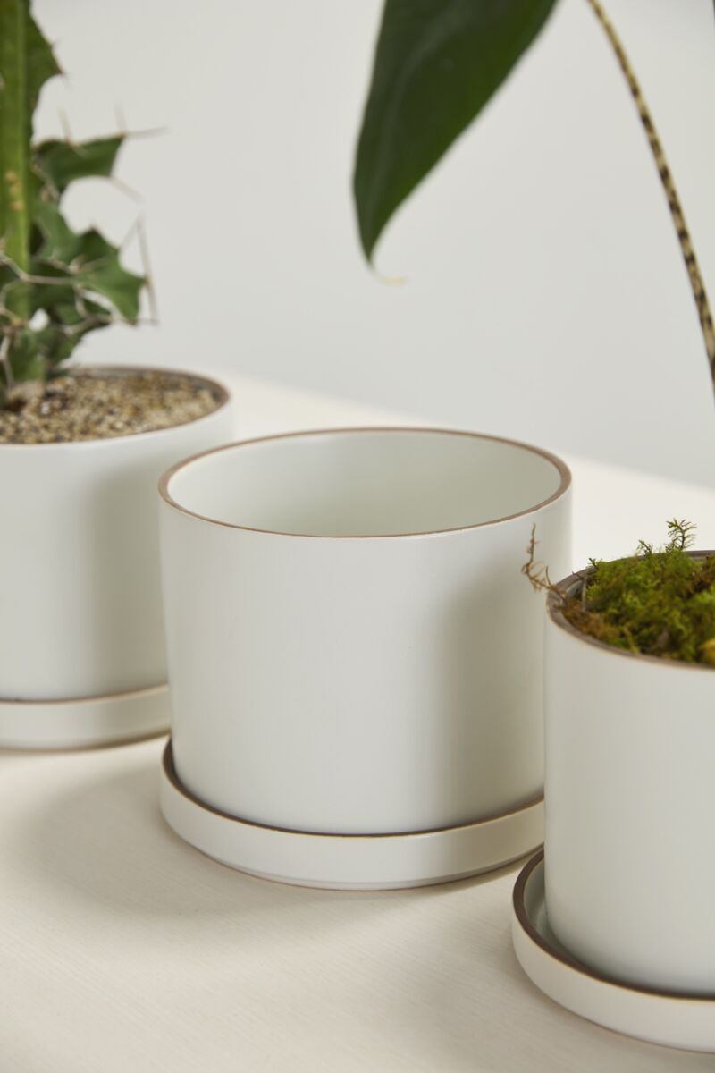 Author Pot empty in the middle of two planted Author pots ©Accent Decor