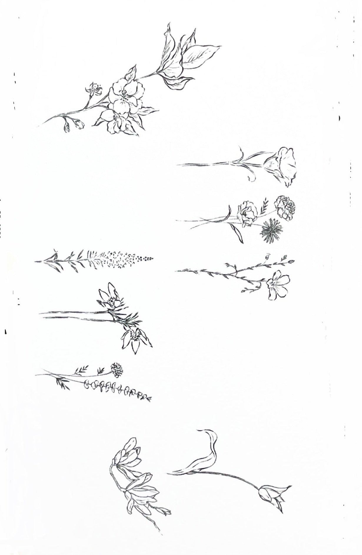 detail of the fine line work of the fine florals tattoo set.