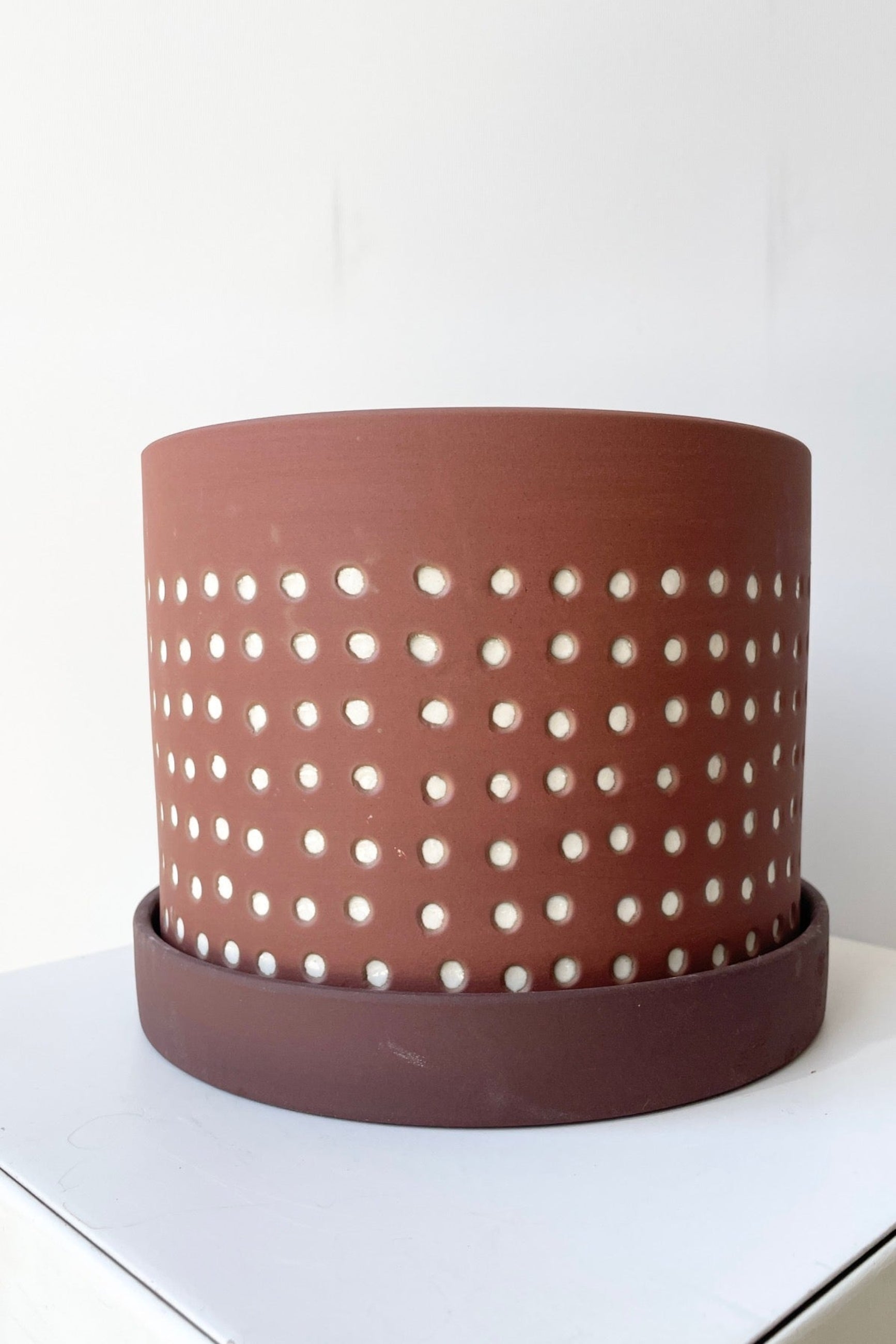 The Salamaca pot and saucer size large showing its brown color with white dots at eye level.
