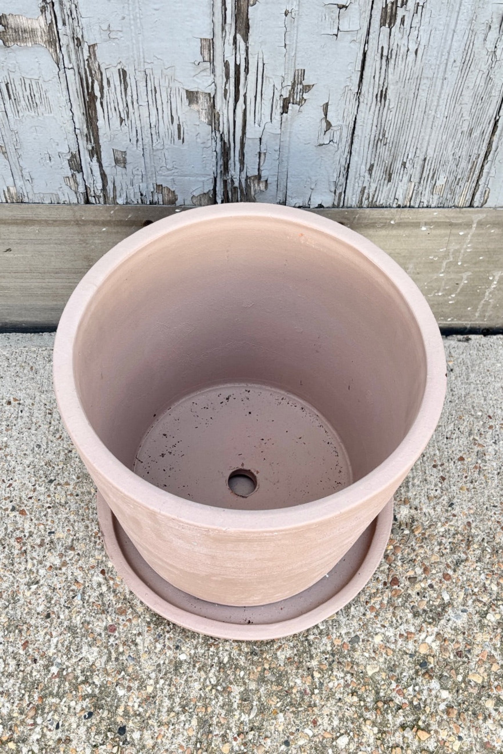 Interior of Large shell colored terracotta Maracay planter empty in front of a grey wall ©Sprout Home