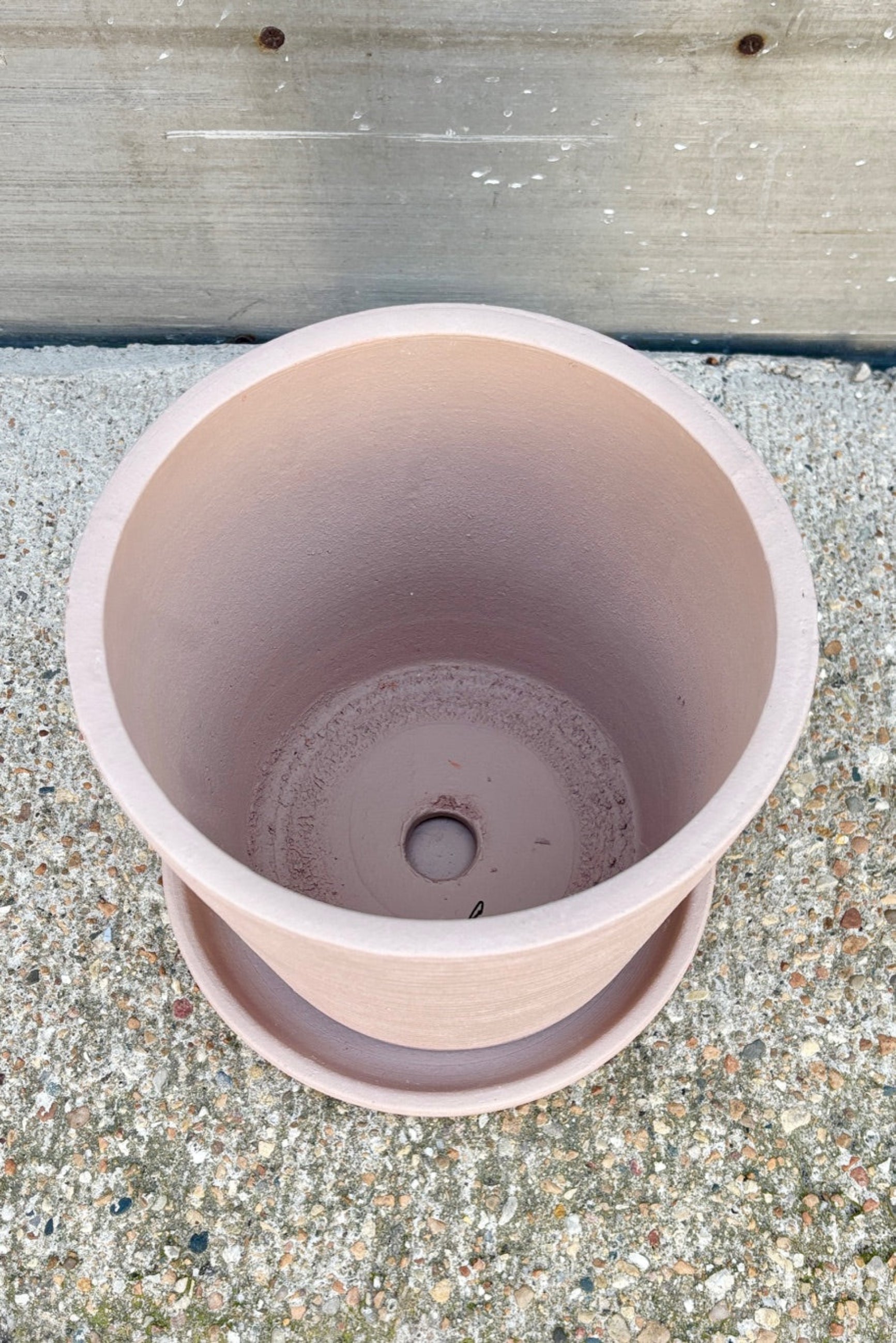 Interior of Medium sized Maracay planter in a shell finish against a grey wall ©Sprout Home
