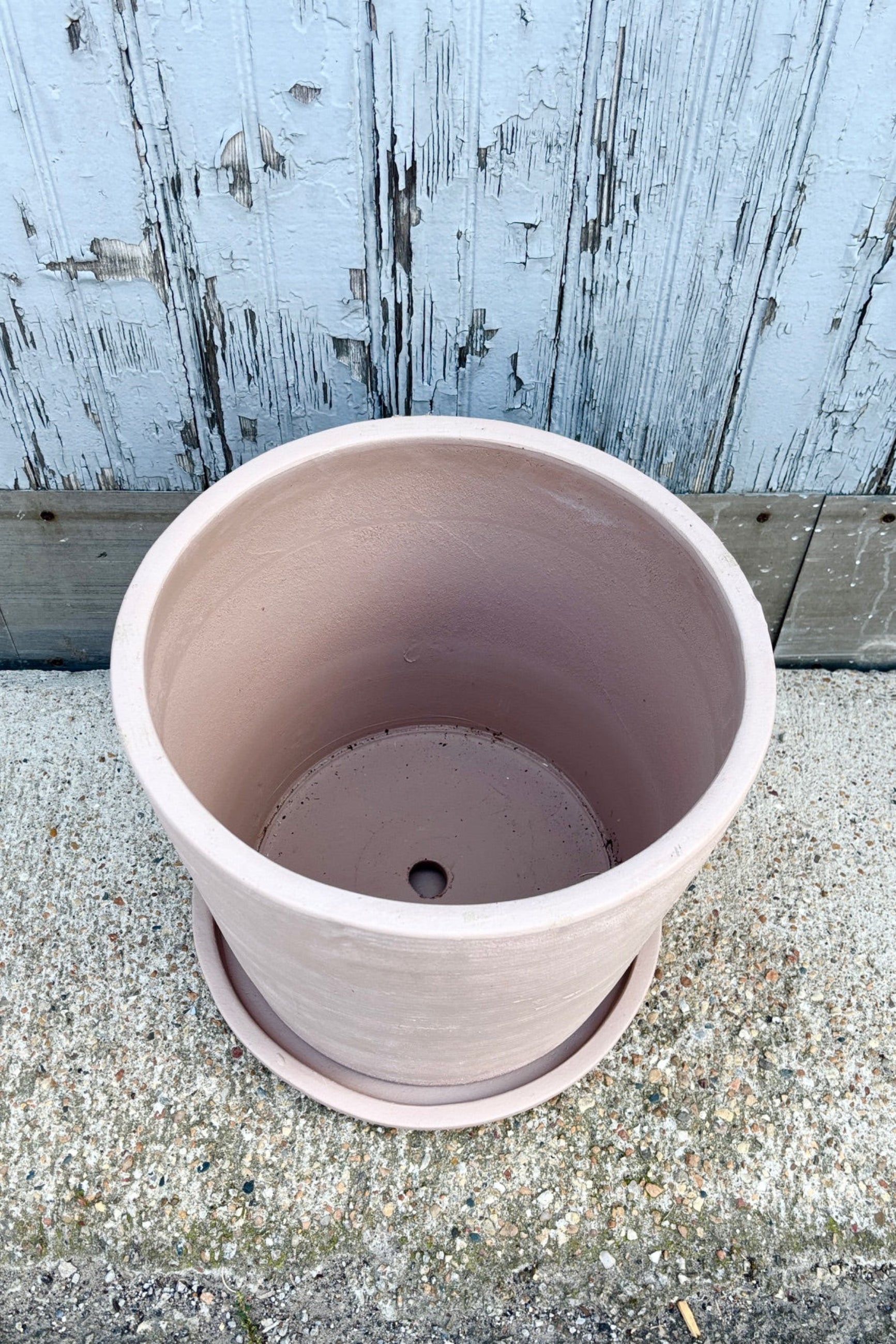 Interior of Extra large shell colored Maracay planter against a grey wall ©Sprout Home