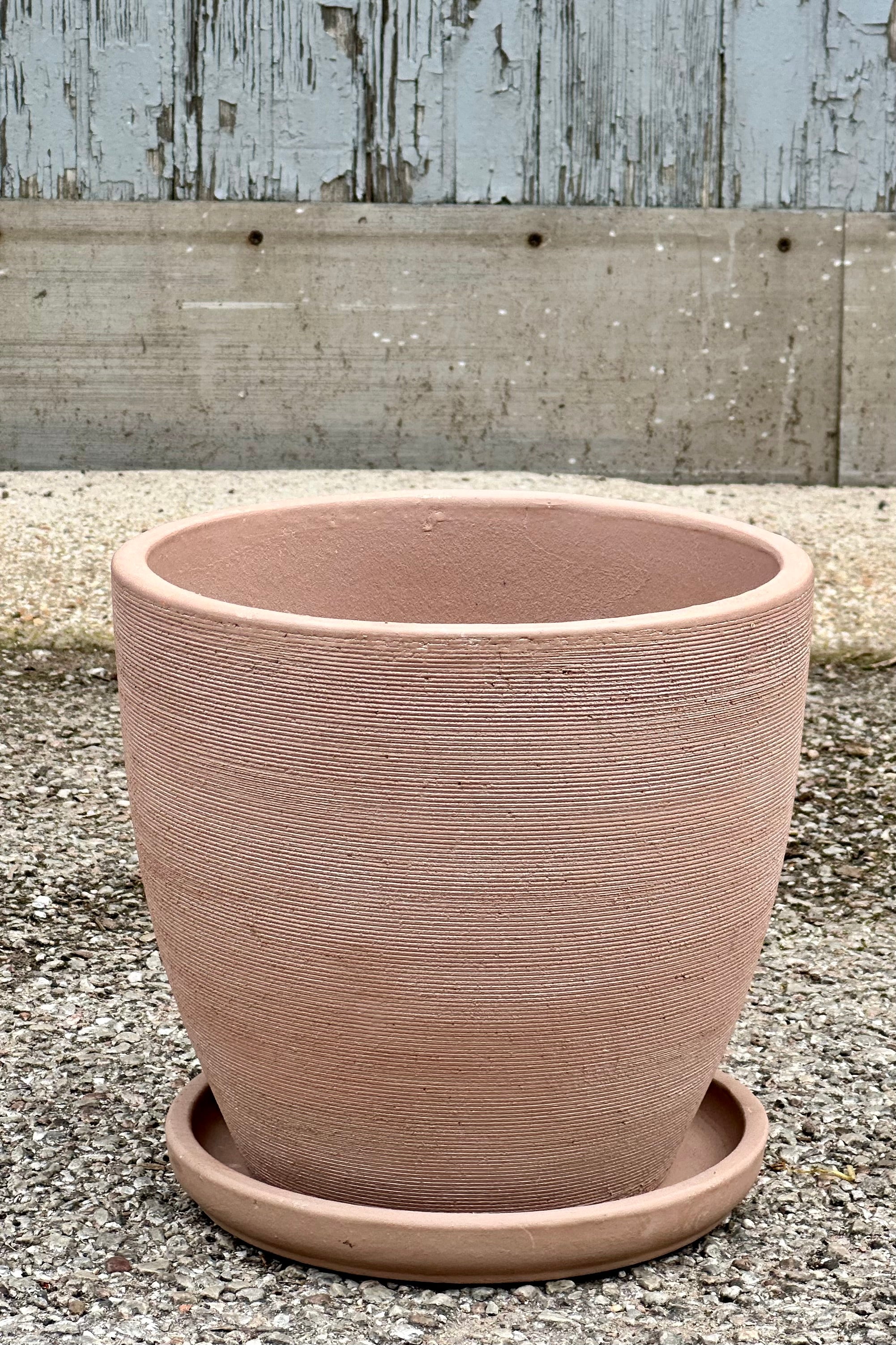 Lara Shell planter in large viewed from topside looking in.