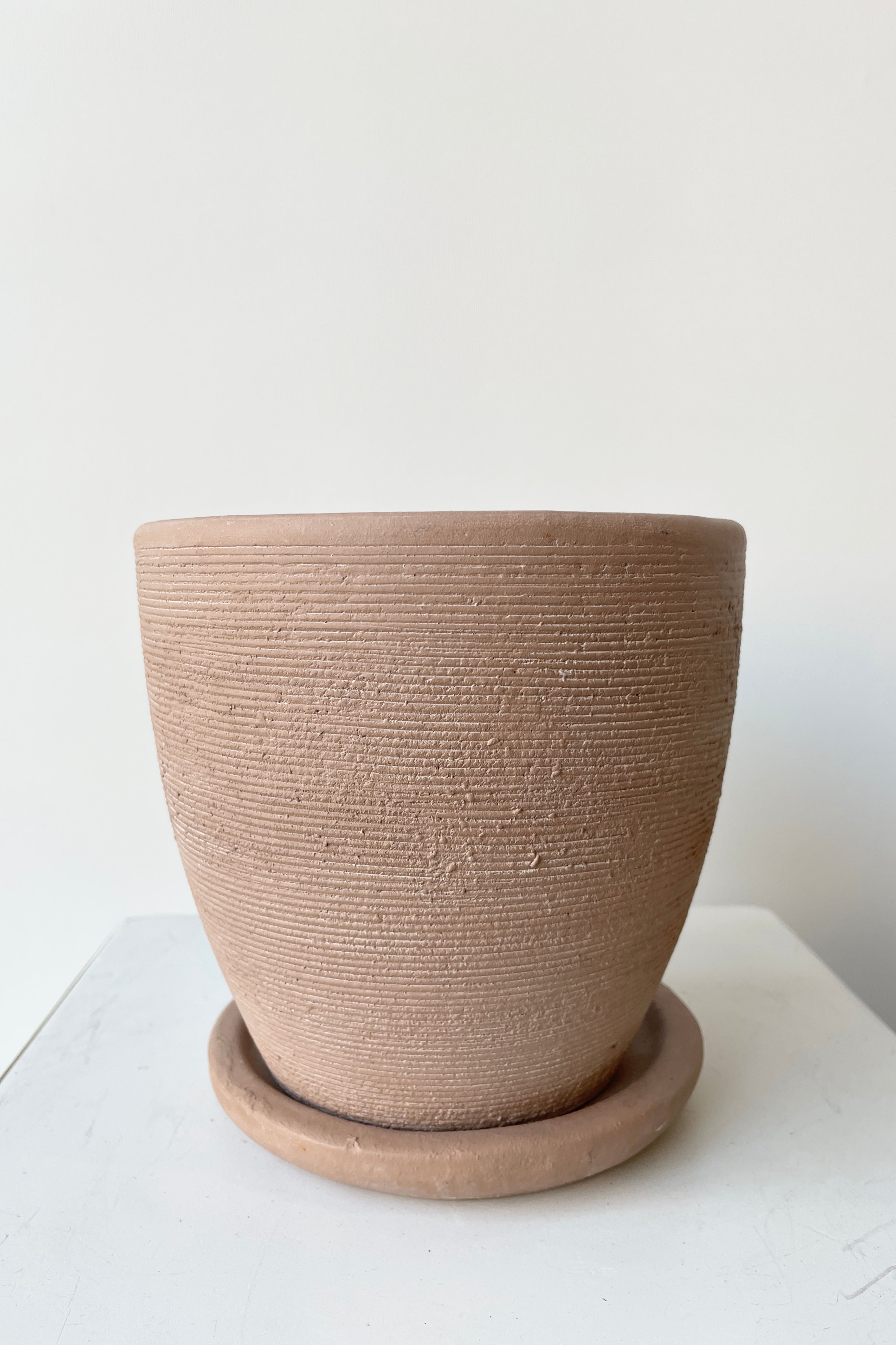 the Lara Shell Planter Small veiwed from the side showing off the horizontal texture bands.