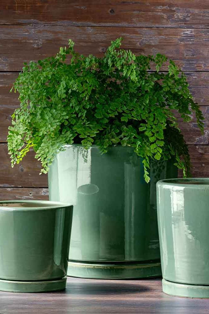 Large I/O 2 cylinder planter in Sea Green glaze potted with a maiden hair fern against a wood wall.