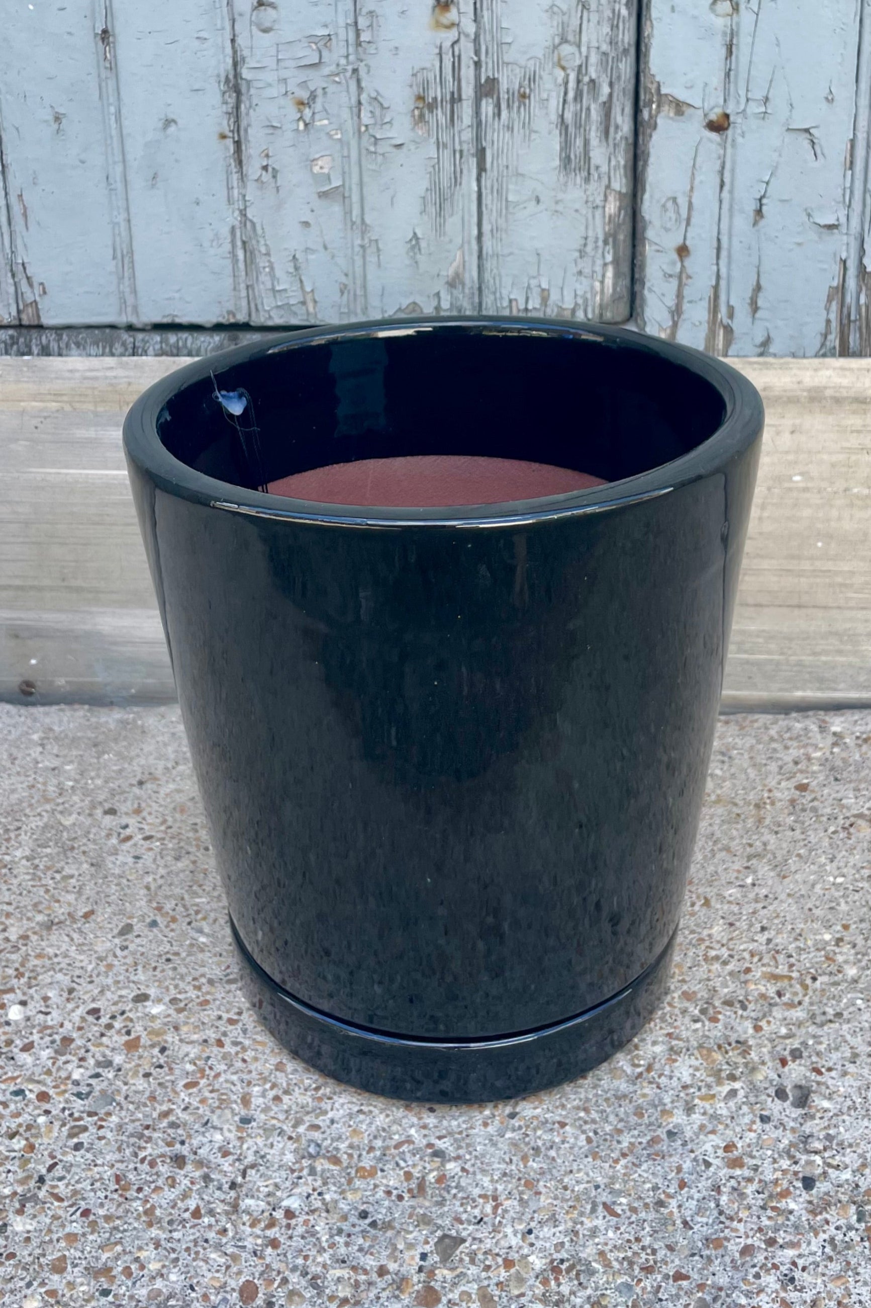 Photo of a glossy black cylinder planter in front of a textured wall ©Sprout Home