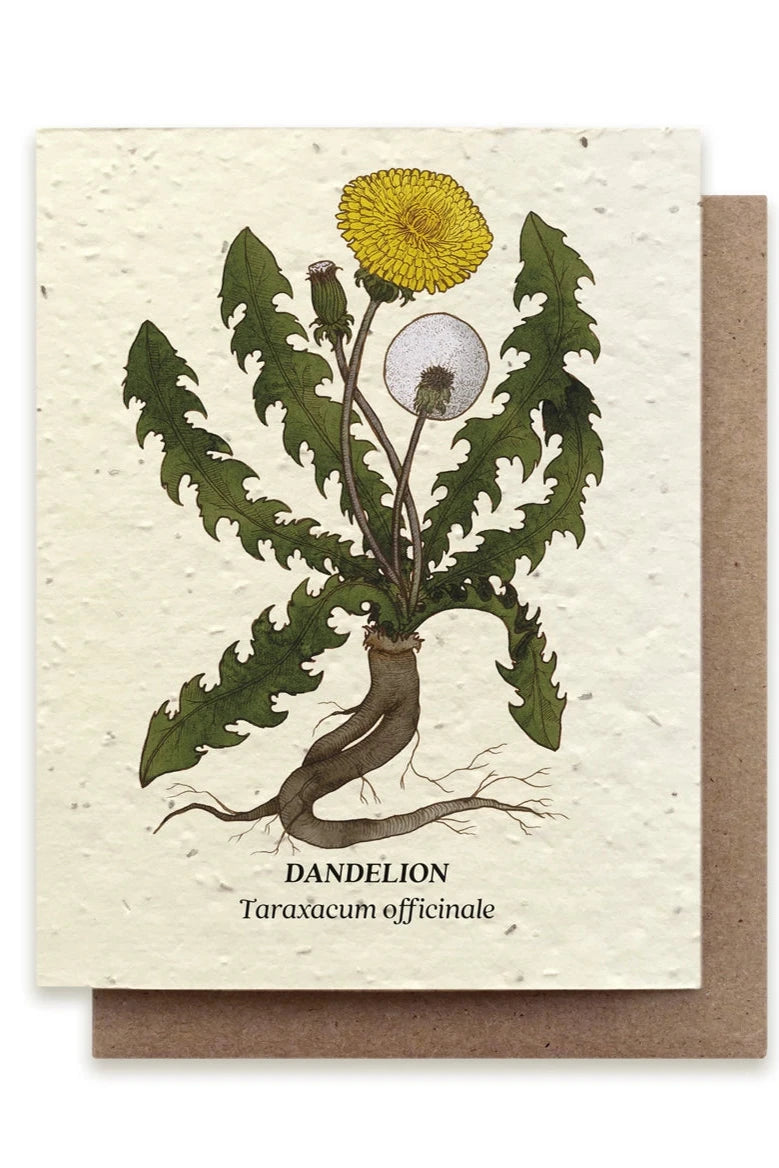 Dandelion plantable card showing the front of the card with the yellow flowers in dandelion.