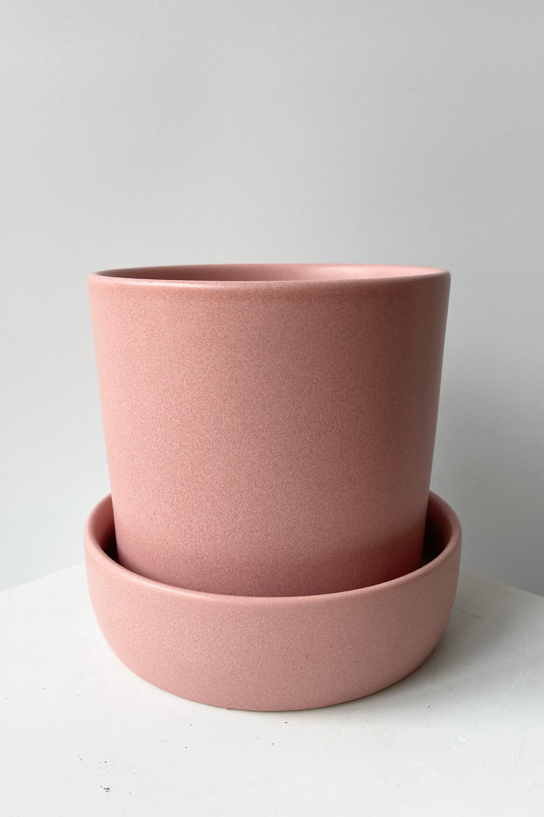A pink Watson pot and saucer veiwed at eye level against a white wall.