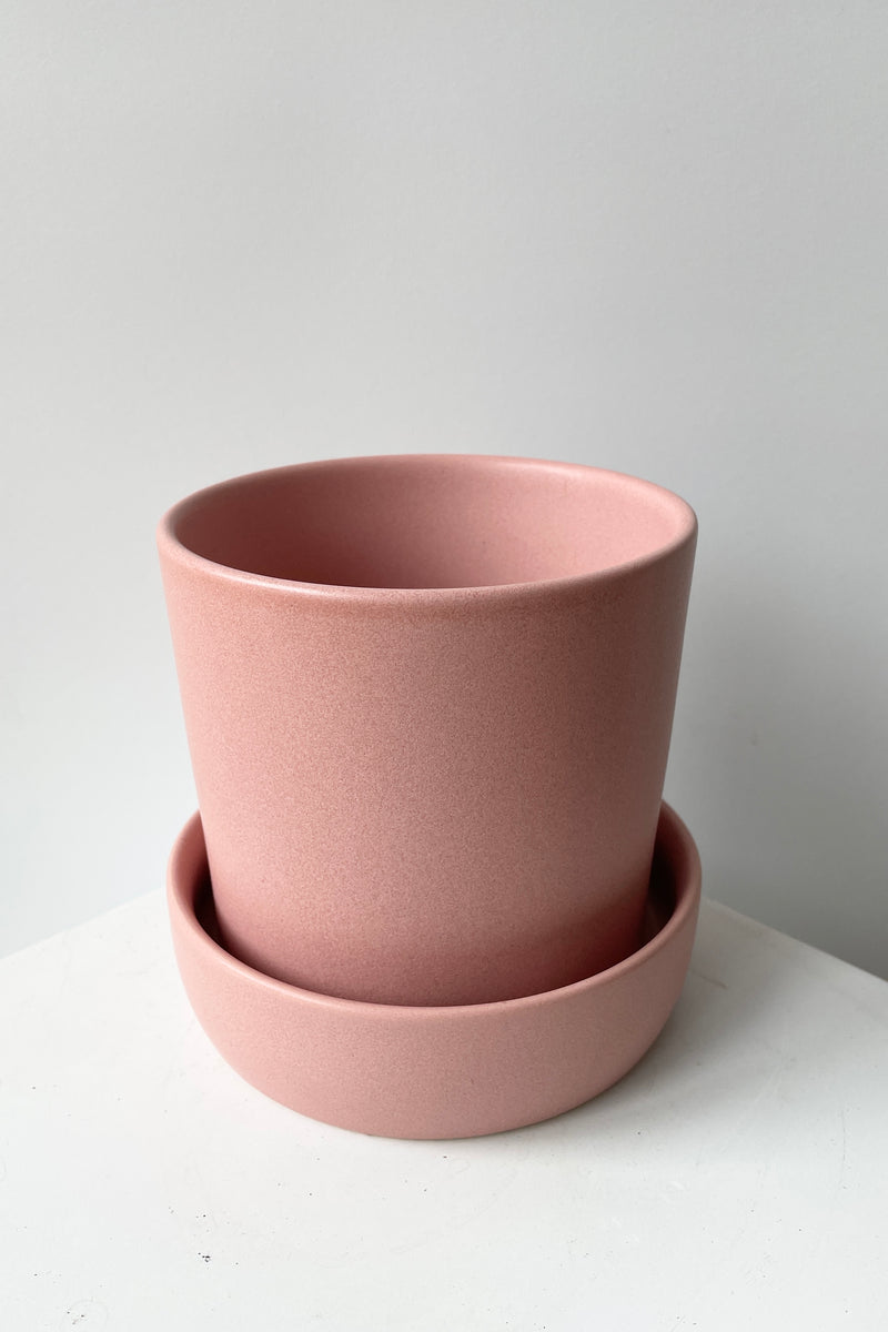 Pink Watson pot viewed from top side looking slightly in